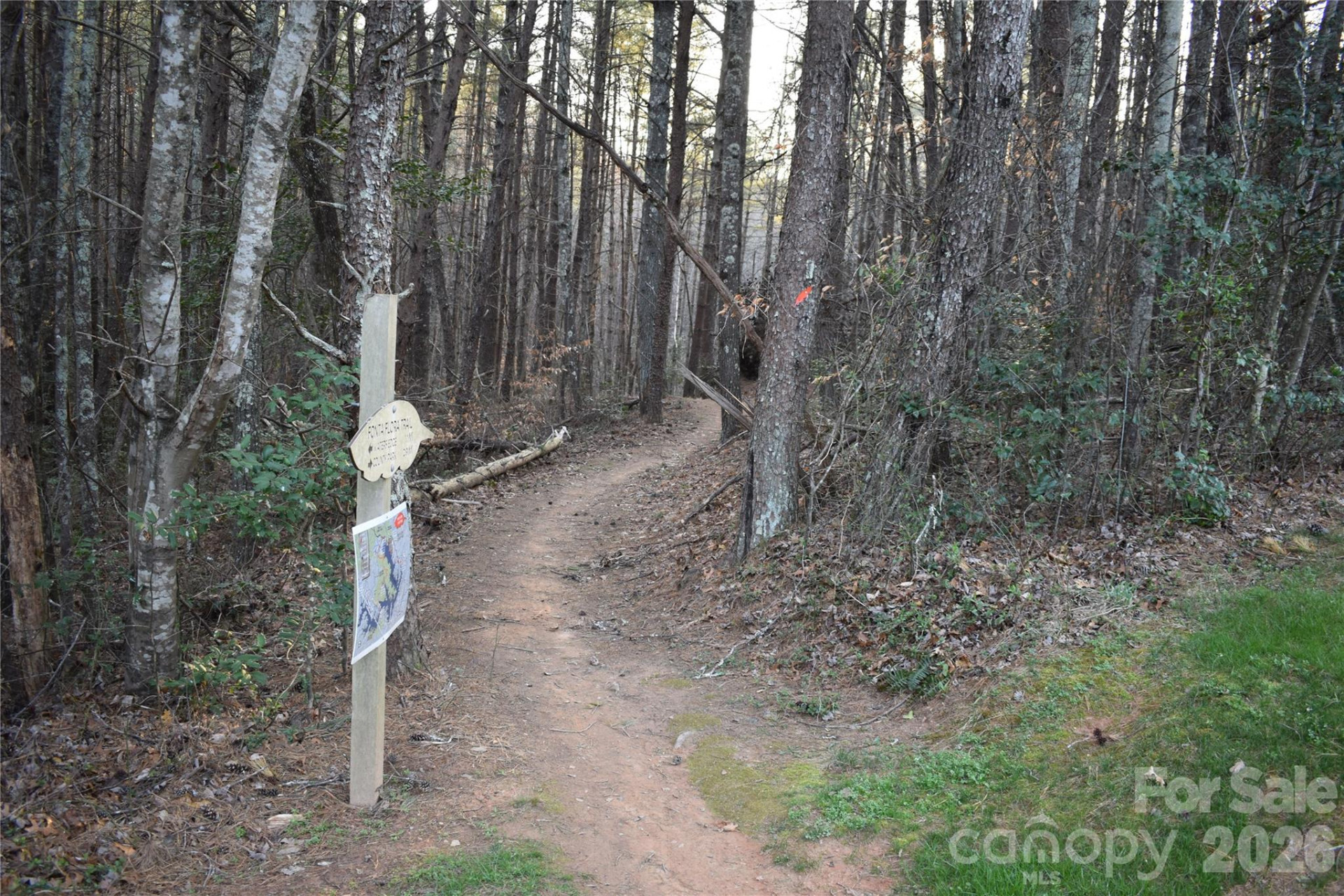 1388 Old Dry Creek Road - Photo 33