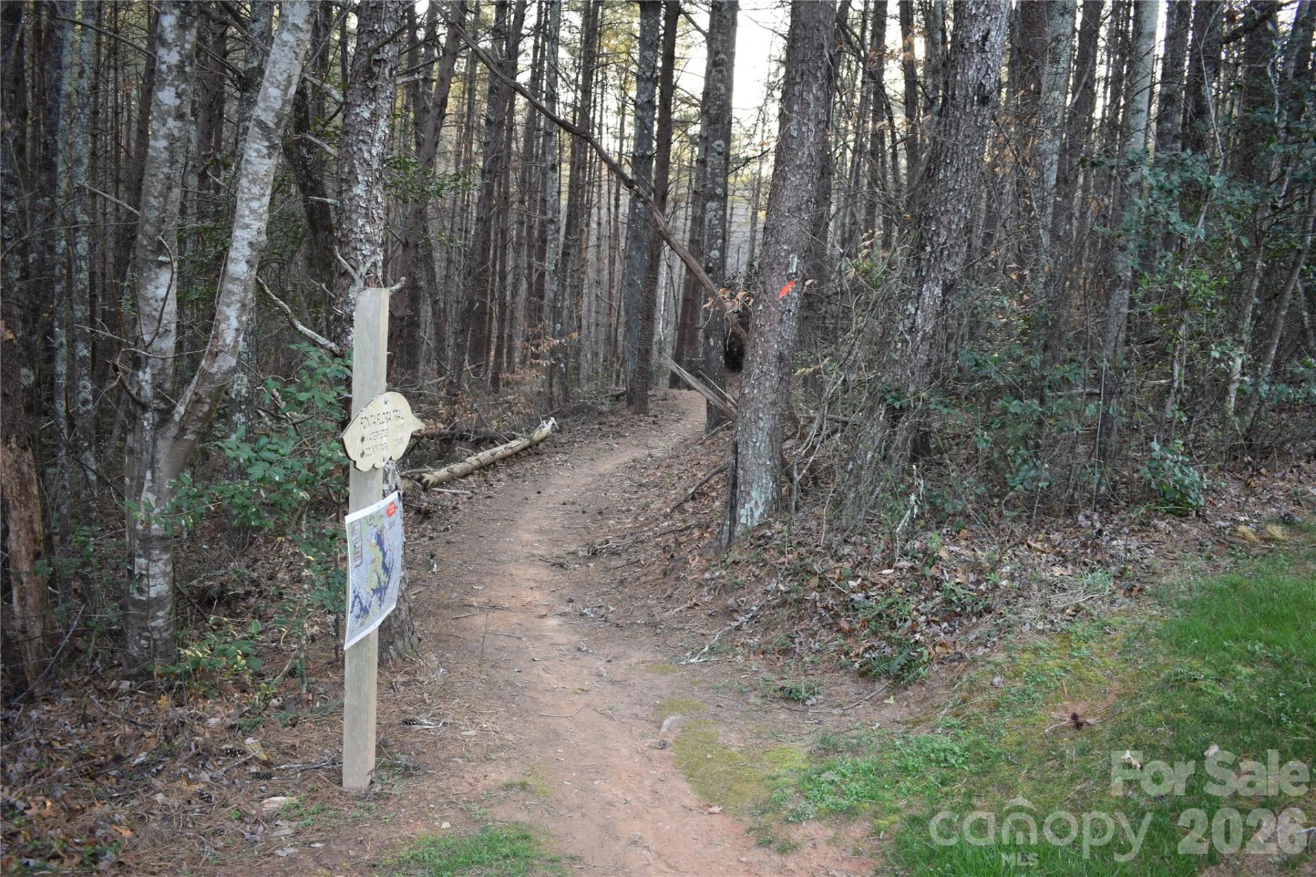 1388 Old Dry Creek Road - Photo 33