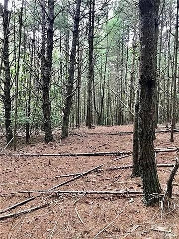 1388 Old Dry Creek Road - Photo 7