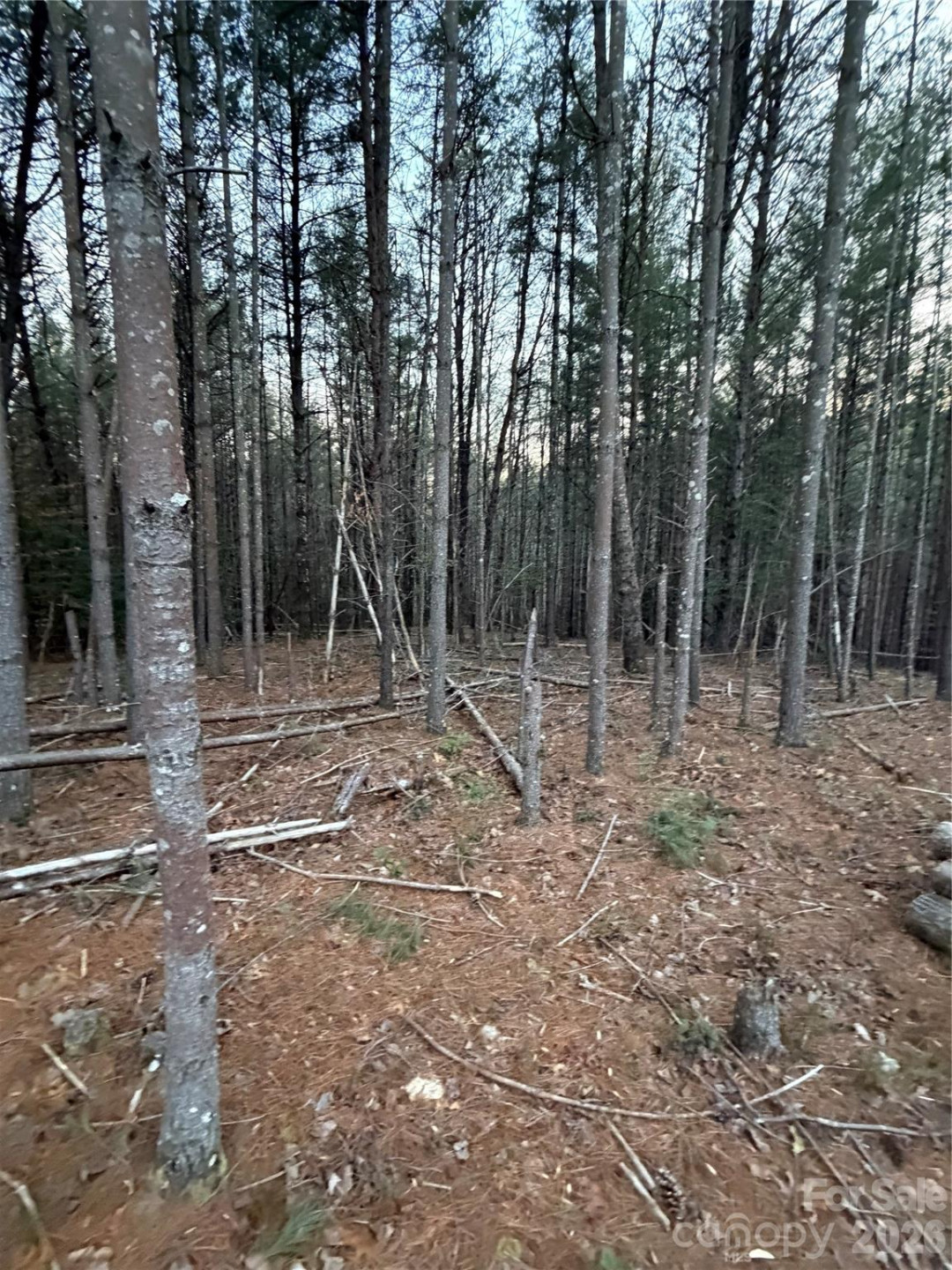 1388 Old Dry Creek Road - Photo 8