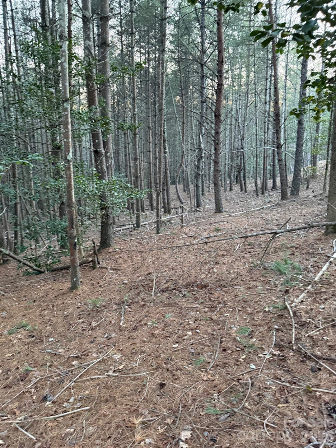 1388 Old Dry Creek Road - Photo 10