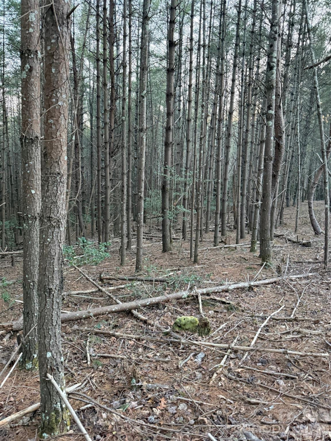 1388 Old Dry Creek Road - Photo 12