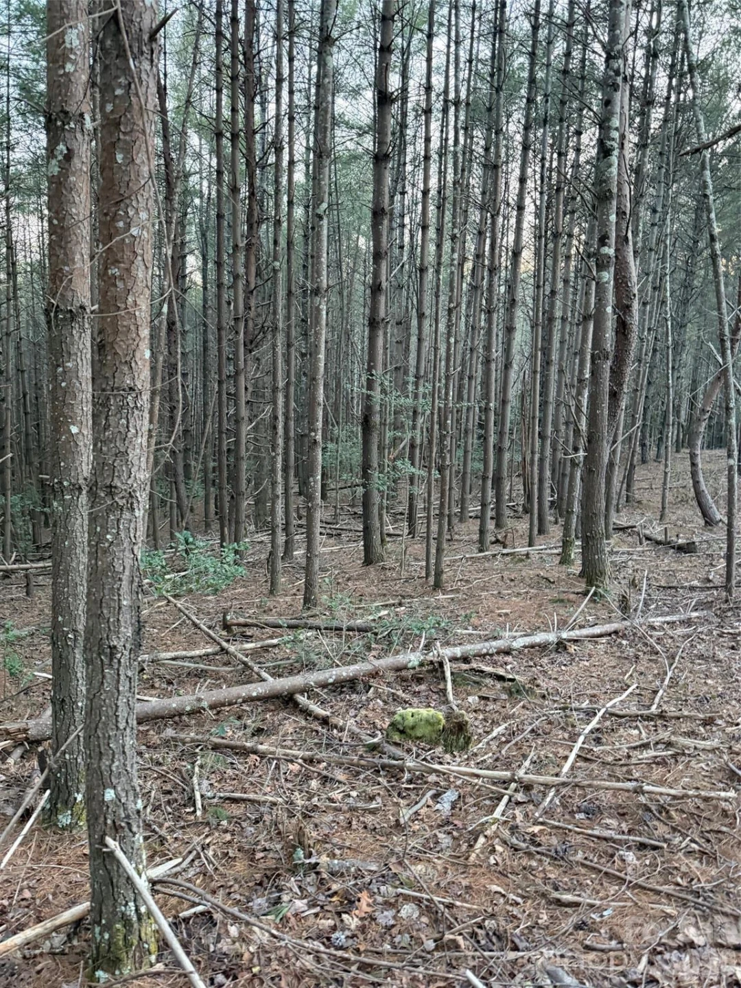 1388 Old Dry Creek Road - Photo 12