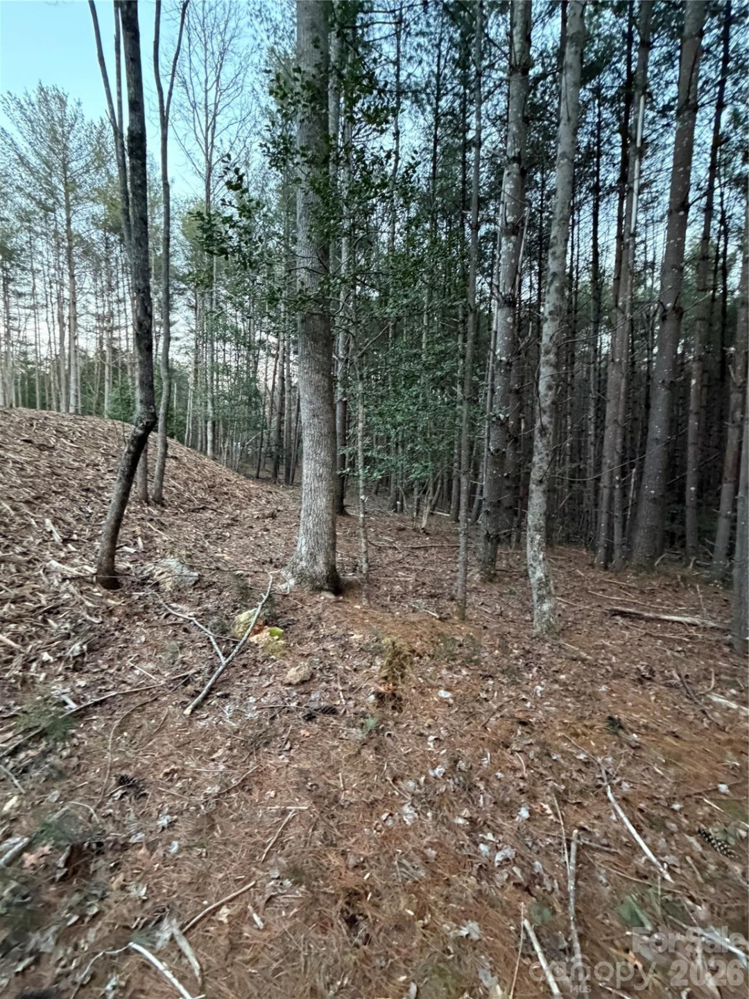 1388 Old Dry Creek Road - Photo 14