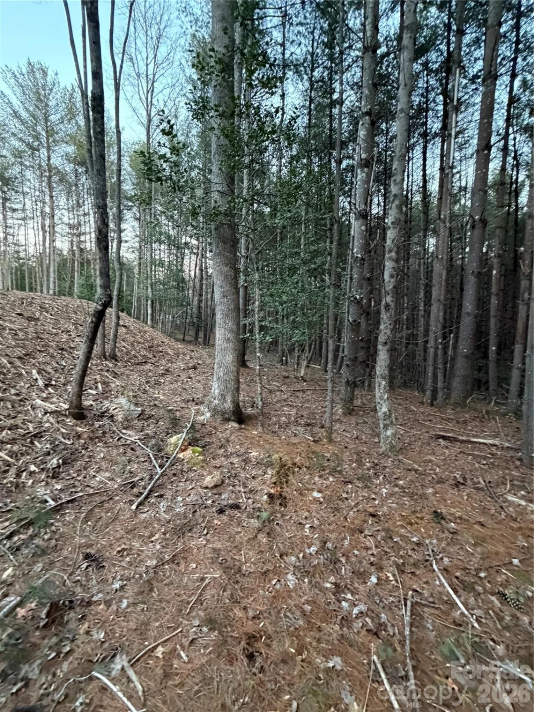 1388 Old Dry Creek Road - Photo 14