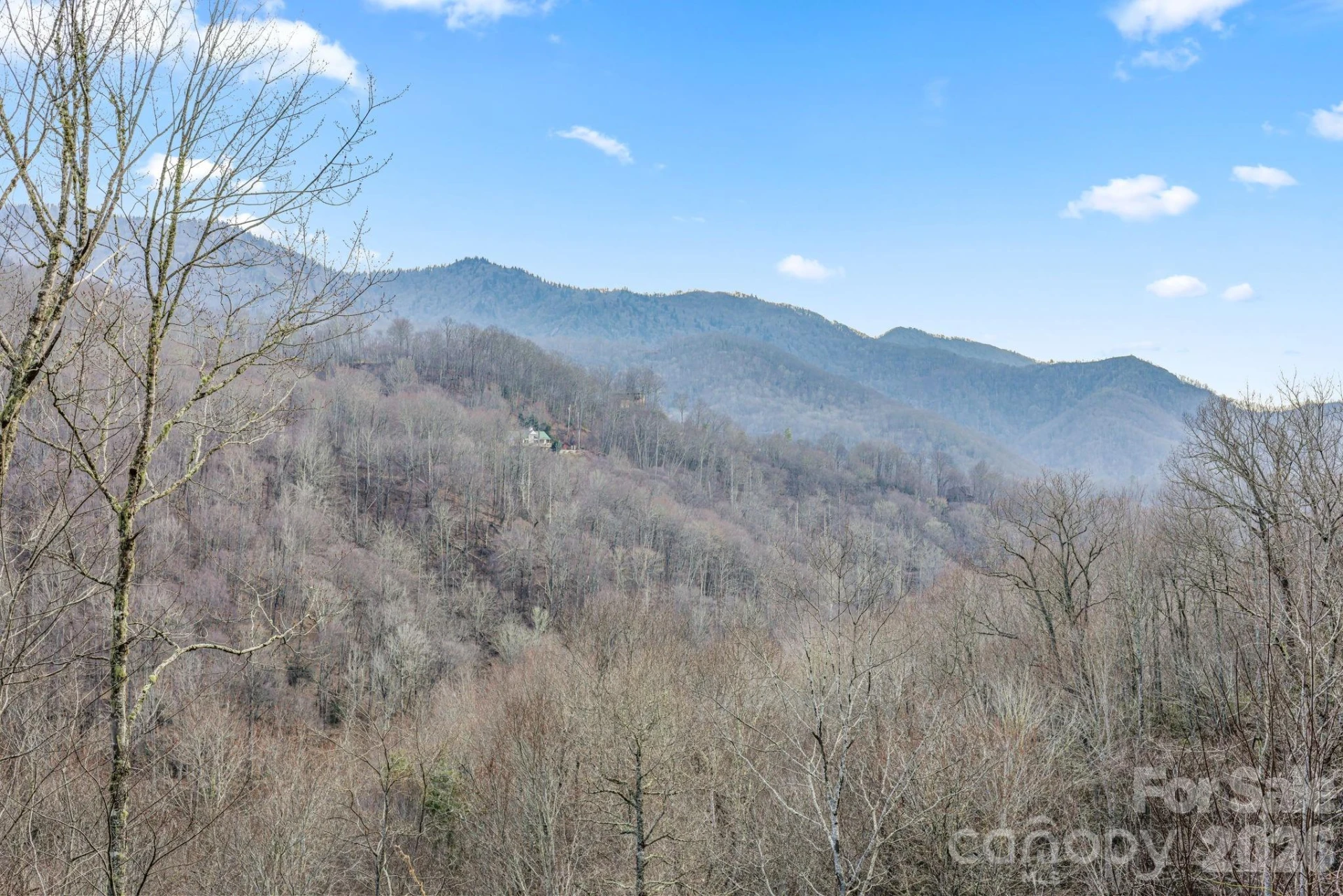 328 Mountain Lion Trail - Photo 3