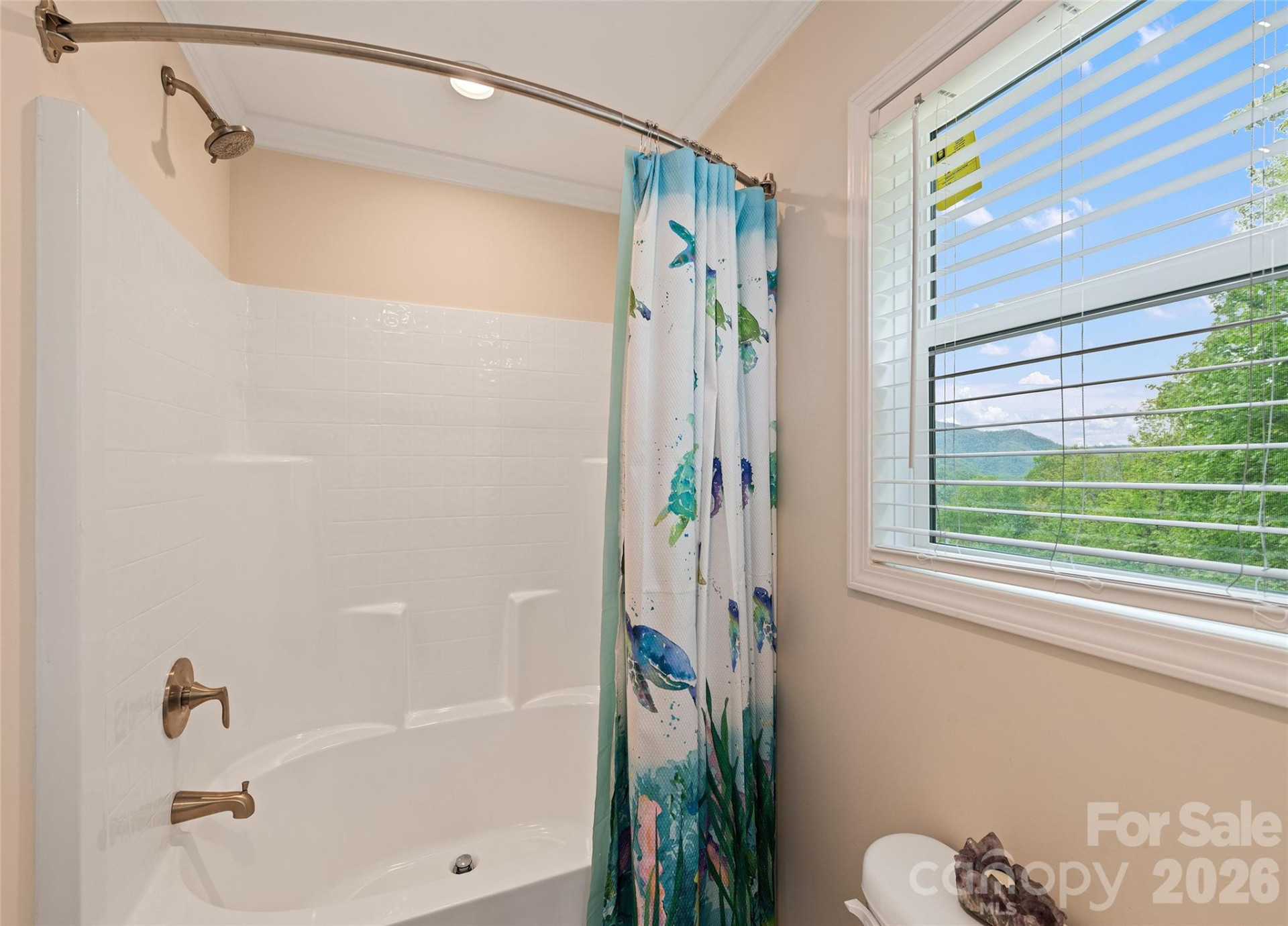 328 Mountain Lion Trail - Photo 24