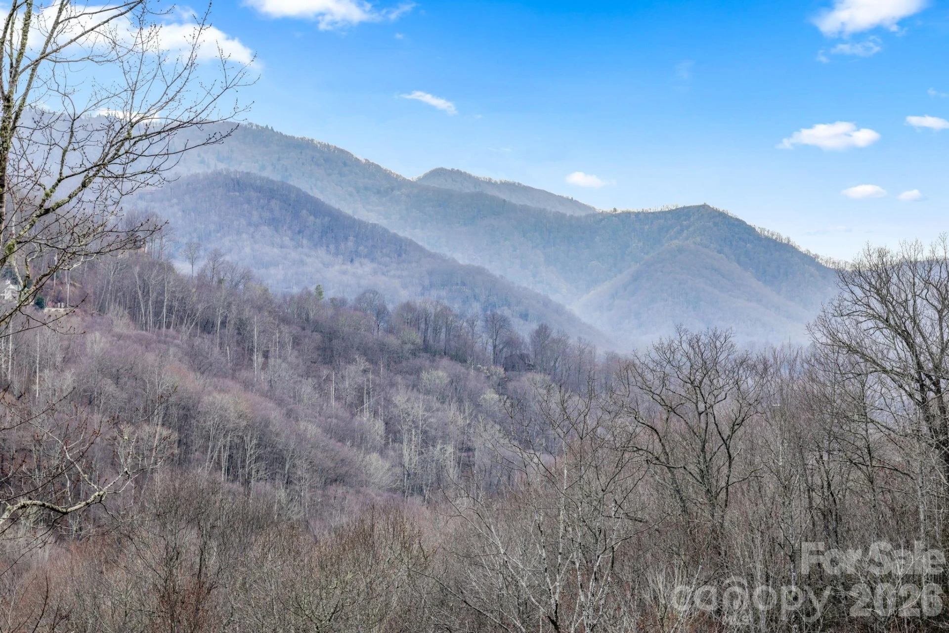 328 Mountain Lion Trail - Photo 4