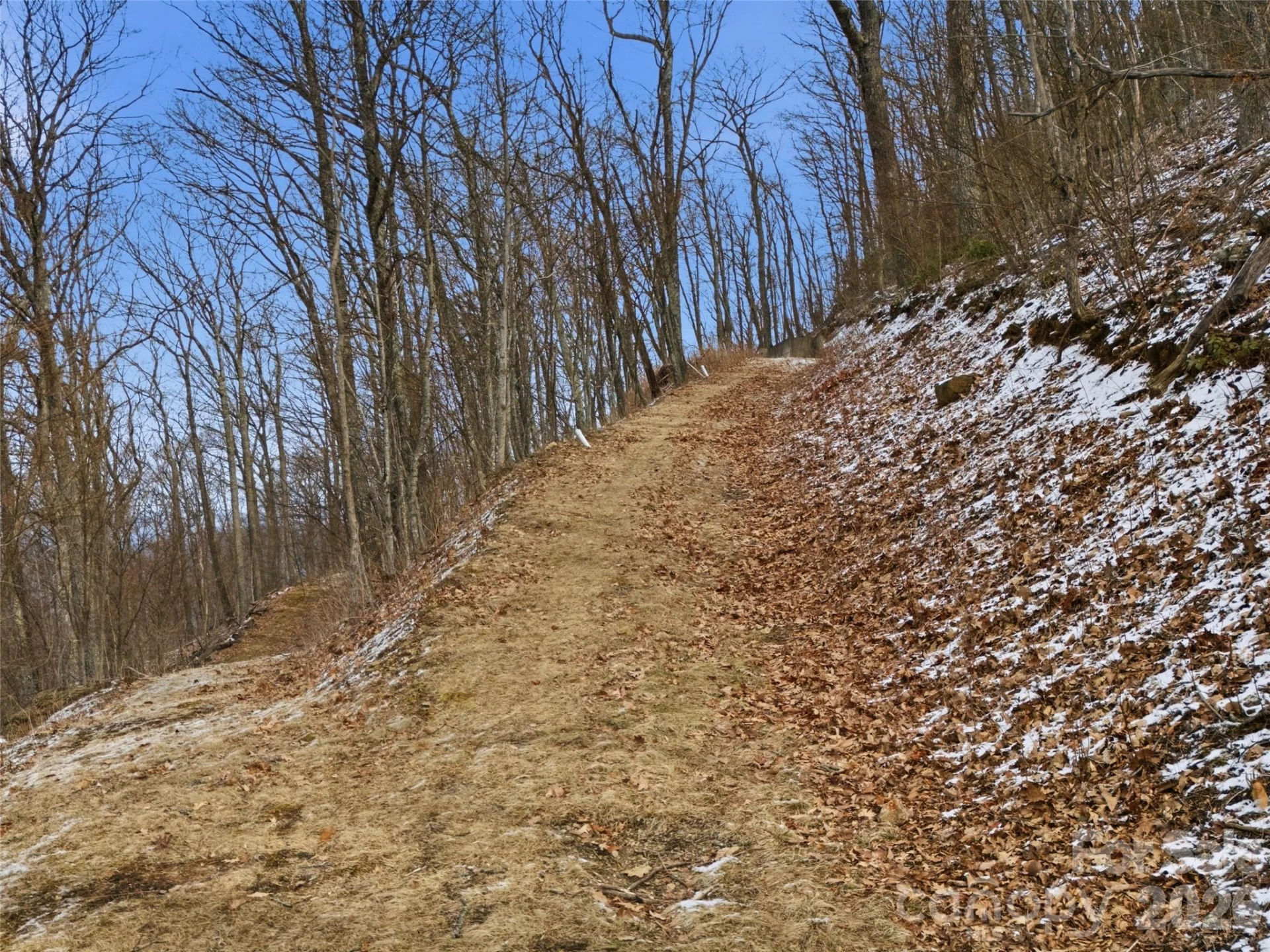 00 Awohali Trail #B6 - Photo 2