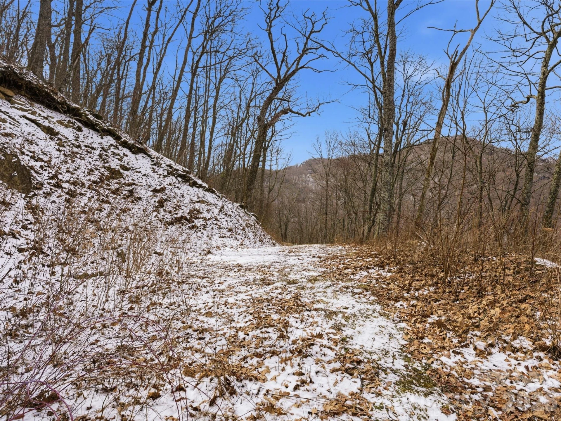 00 Awohali Trail #B6 - Photo 10