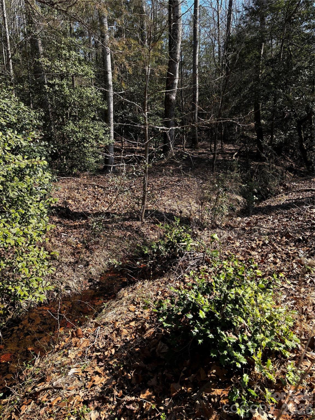 1685 Old Caroleen Road - Photo 32