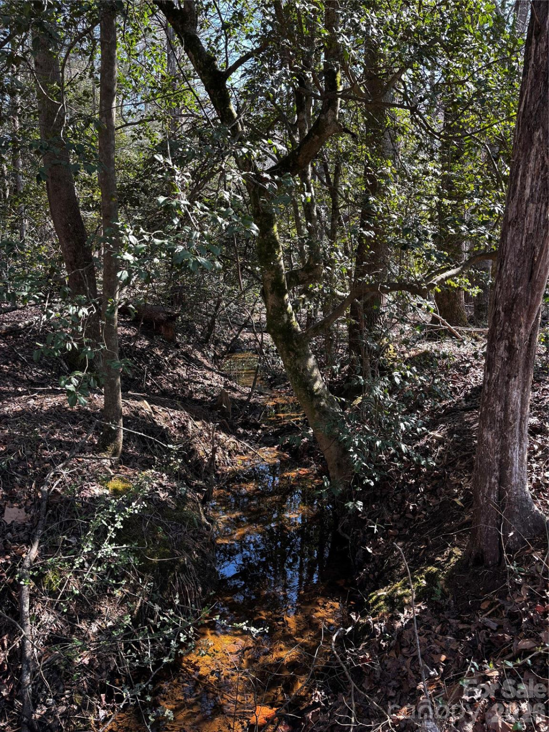1685 Old Caroleen Road - Photo 33