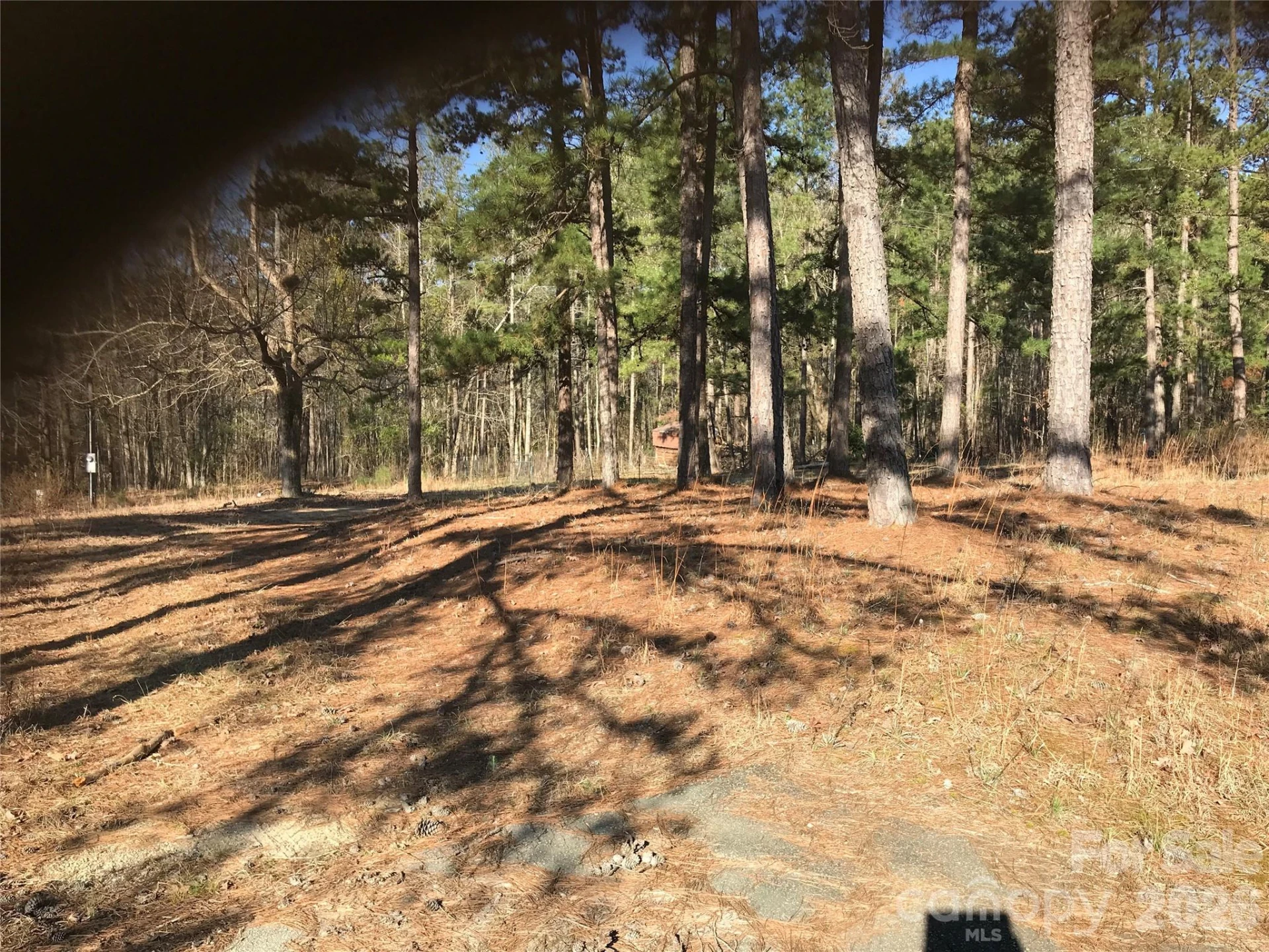 3279 Ebenezer Church Road - Photo 3