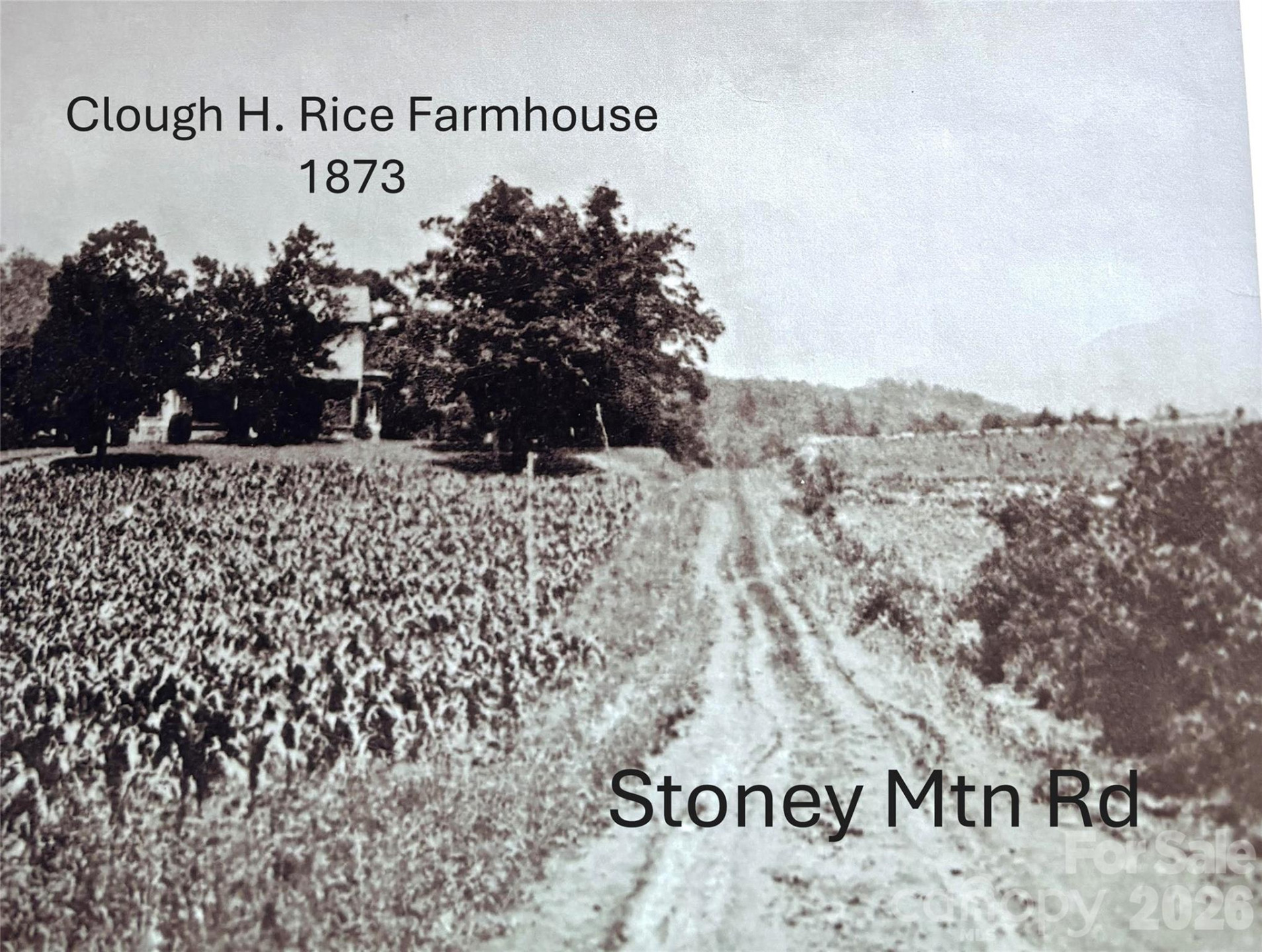 219 Stoney Mountain Road - Photo 42