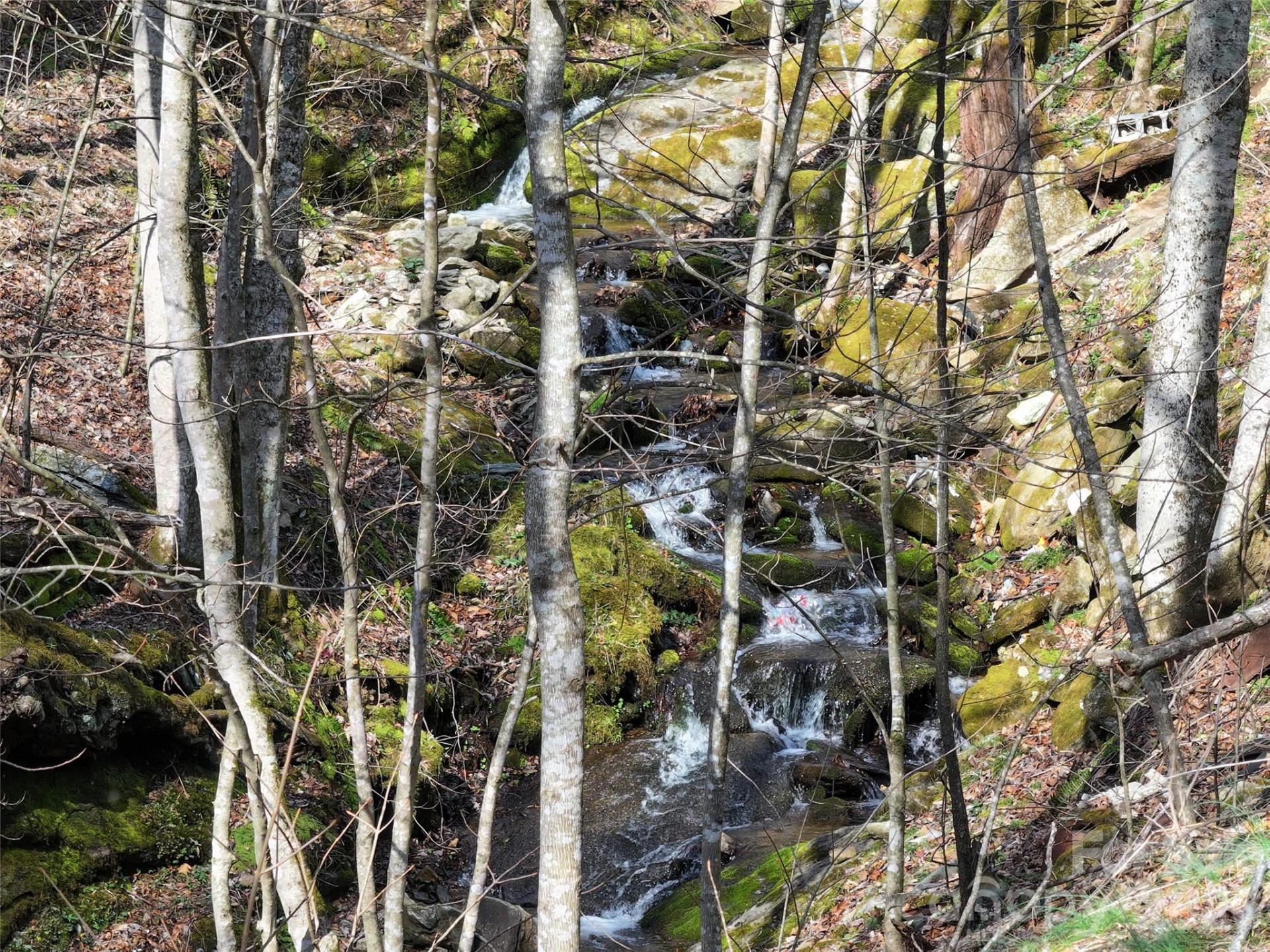 1002 Ned Cove Road - Photo 11