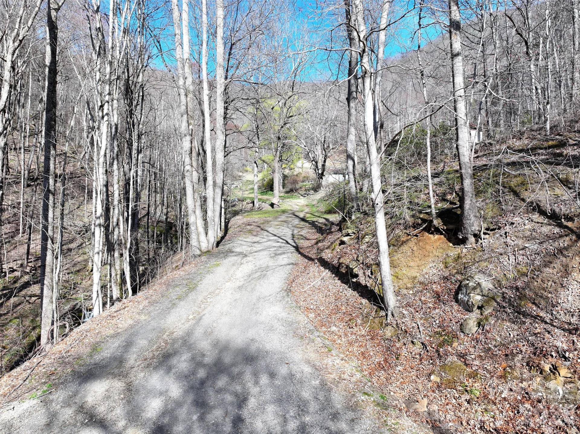 1002 Ned Cove Road - Photo 15