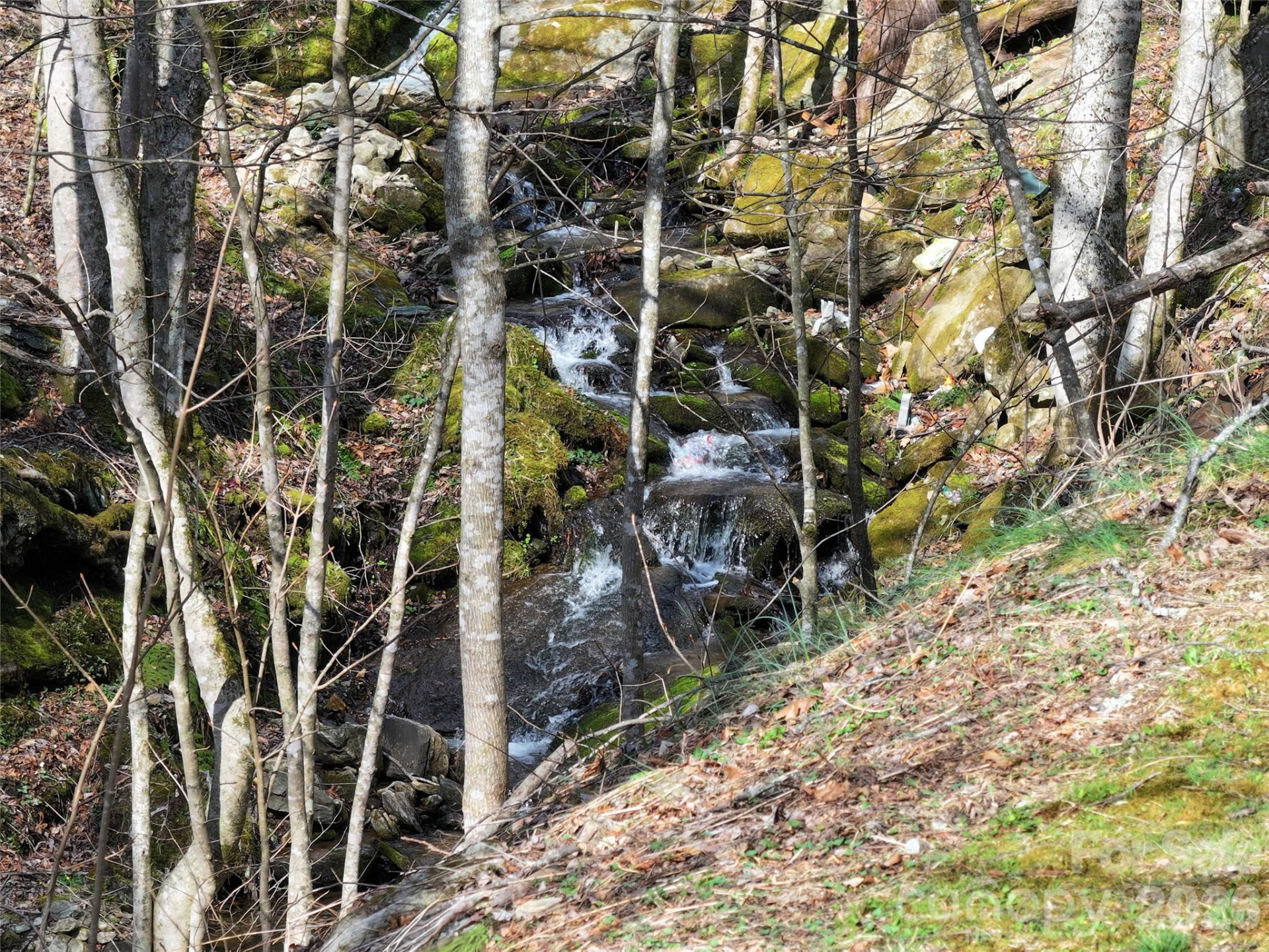 1002 Ned Cove Road - Photo 5