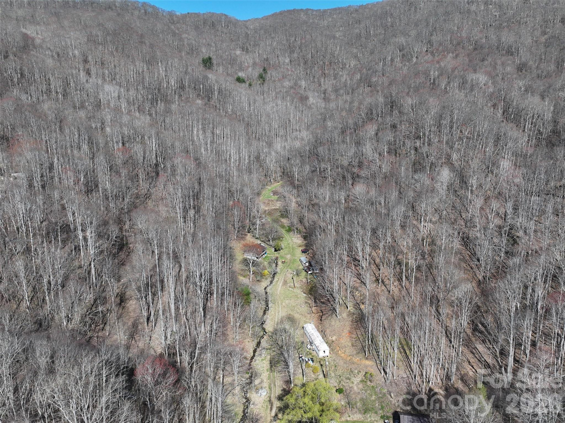 1002 Ned Cove Road - Photo 7