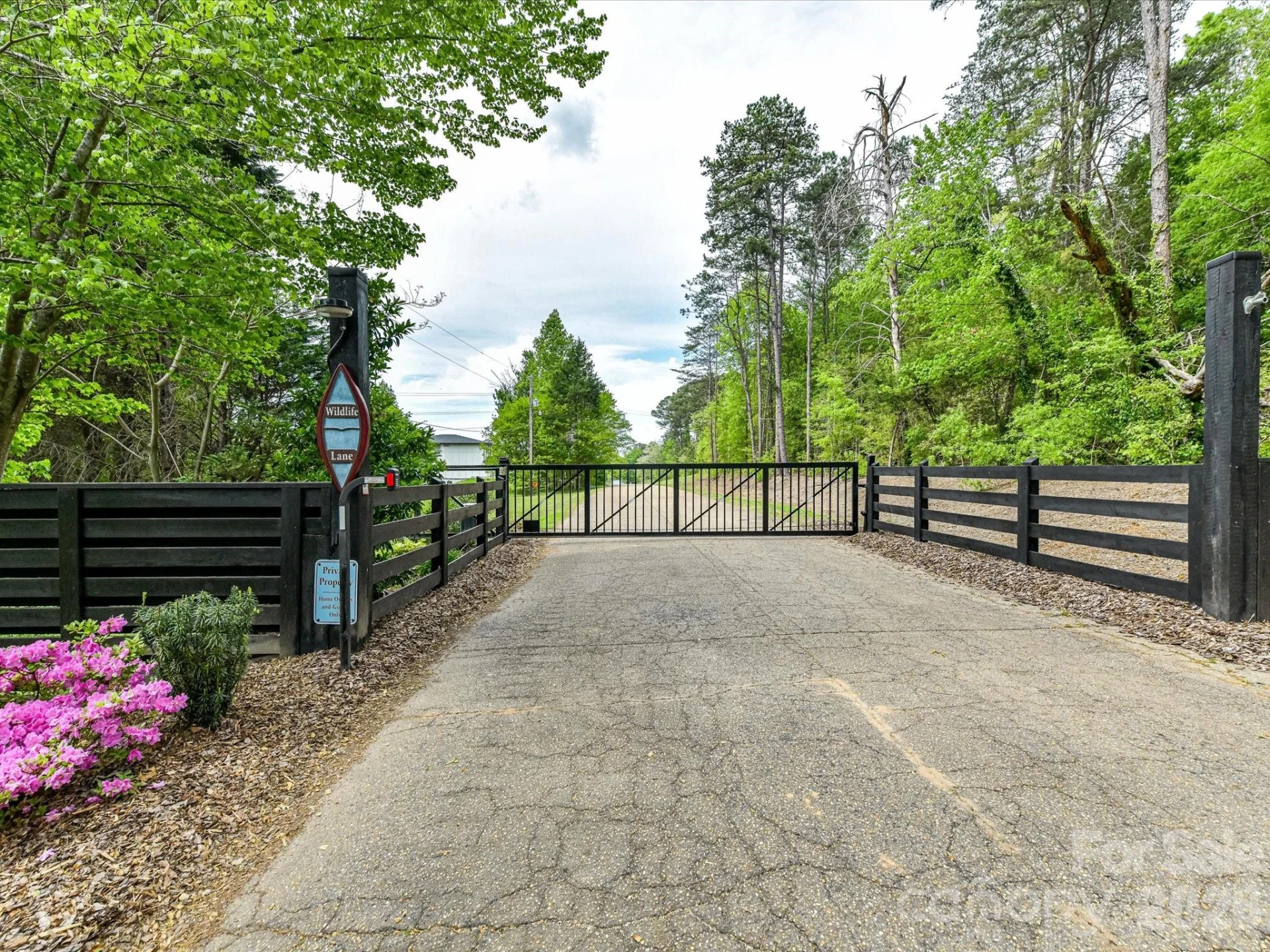 4987 Wildlife Lane - Photo 6