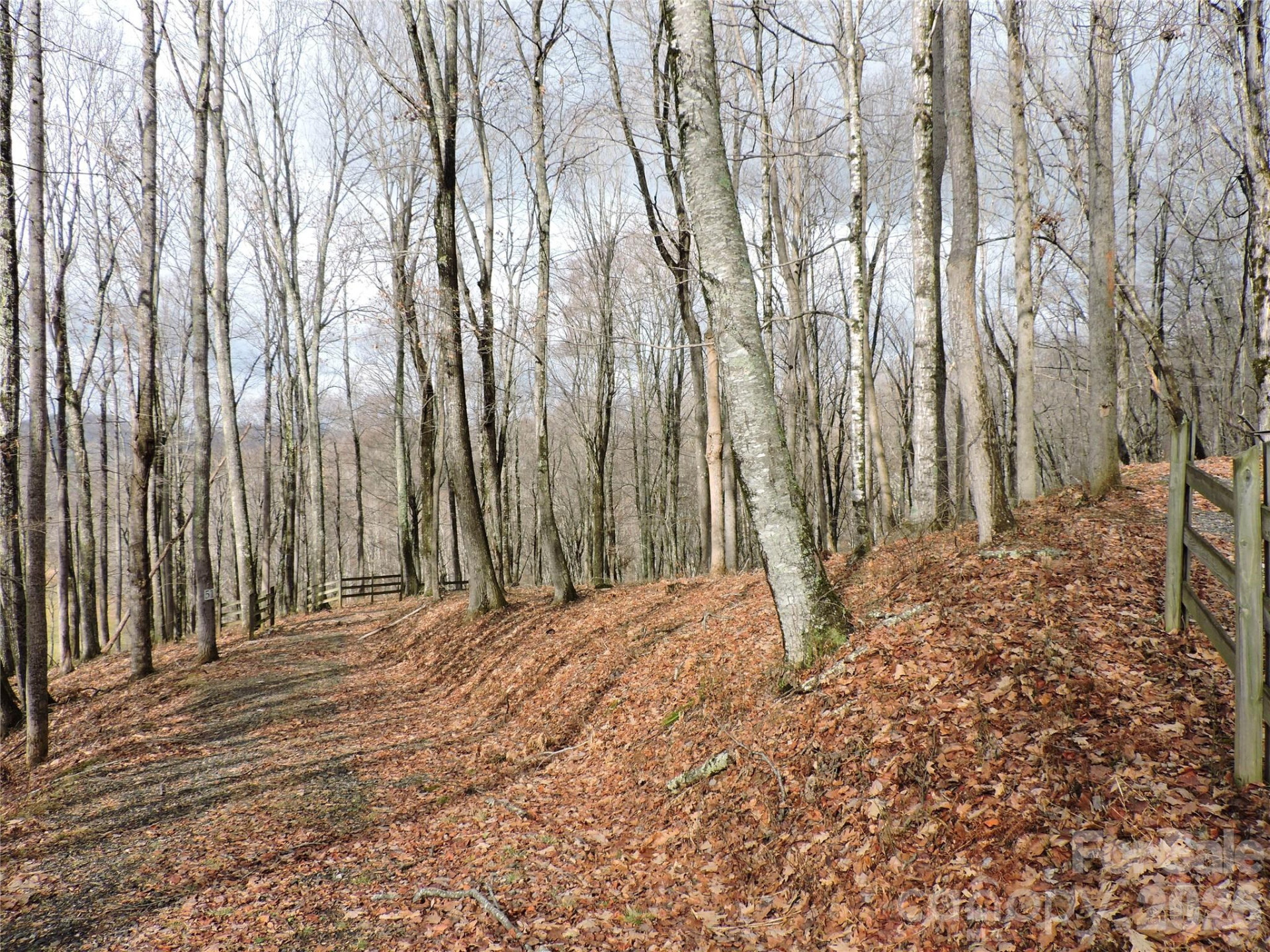 191 Bens Bend - Photo 13