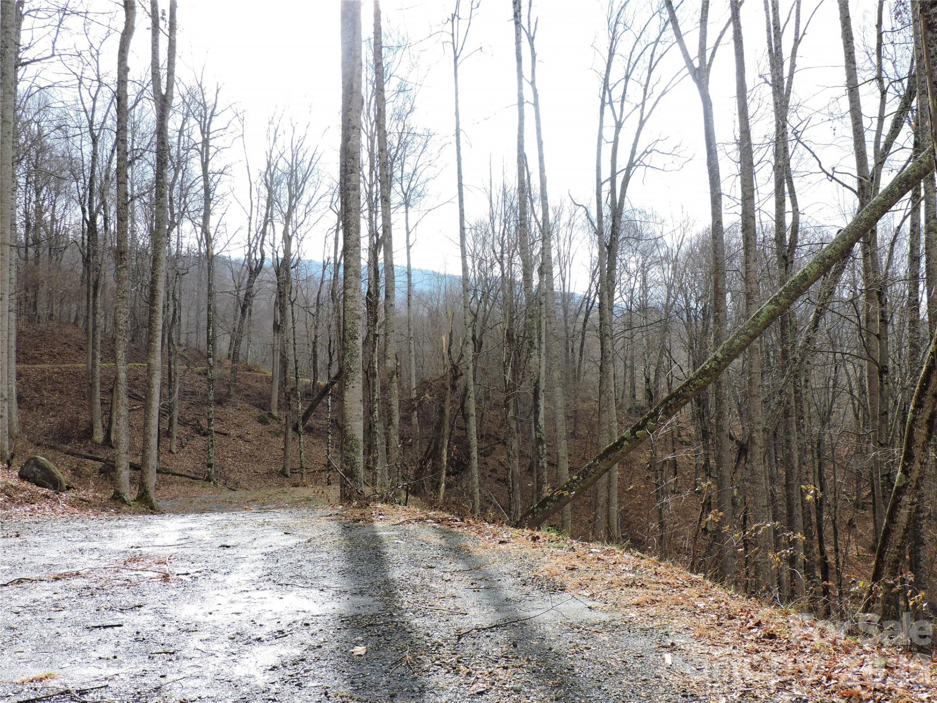 191 Bens Bend - Photo 14