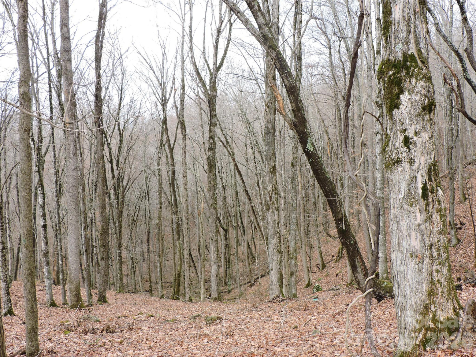 191 Bens Bend - Photo 15