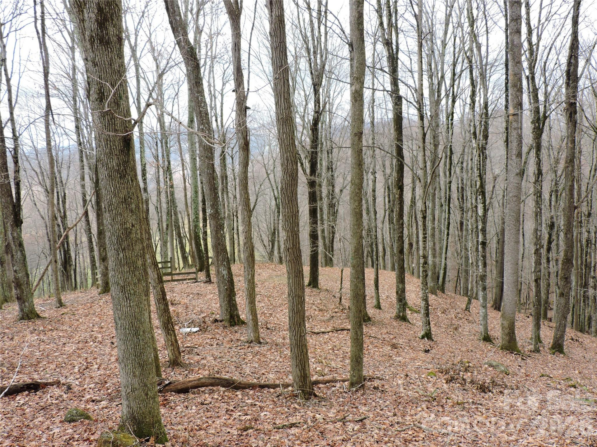 191 Bens Bend - Photo 16