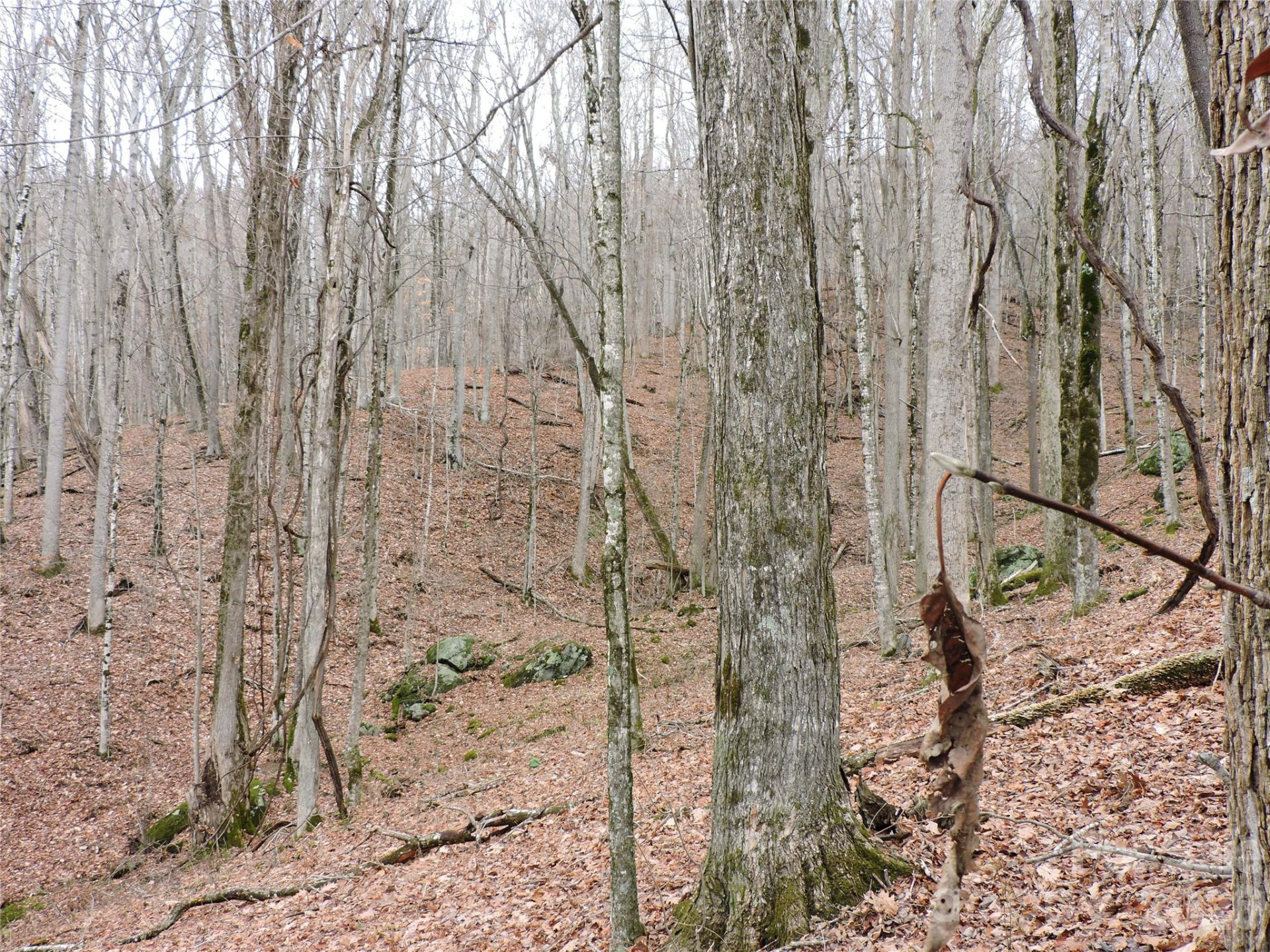 191 Bens Bend - Photo 17