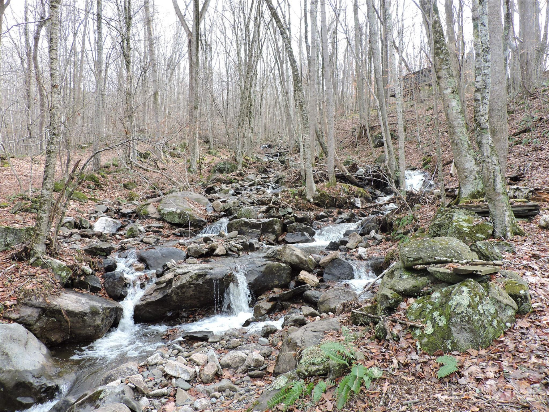 191 Bens Bend - Photo 21