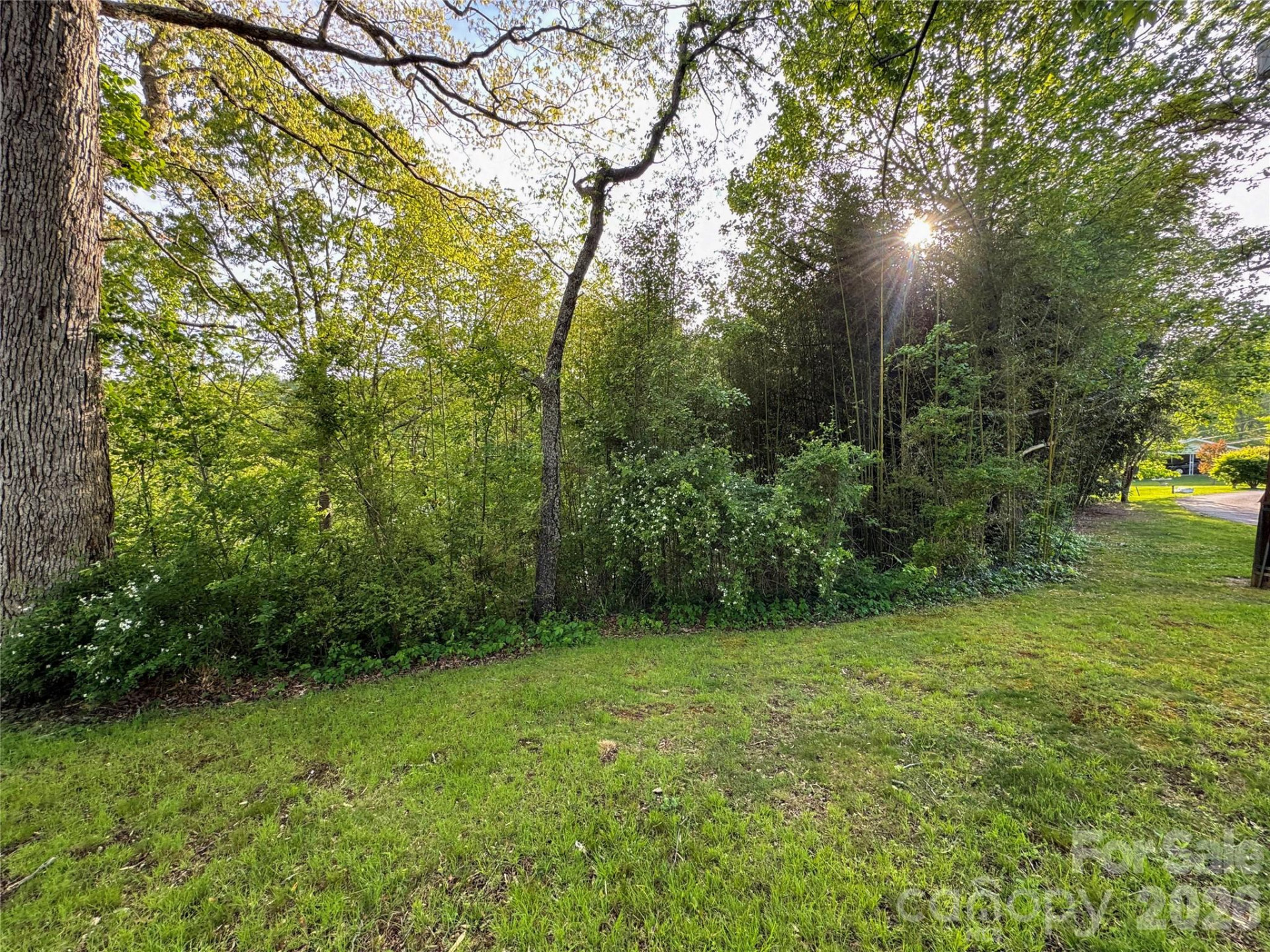 70 Winchester Drive - Photo 15