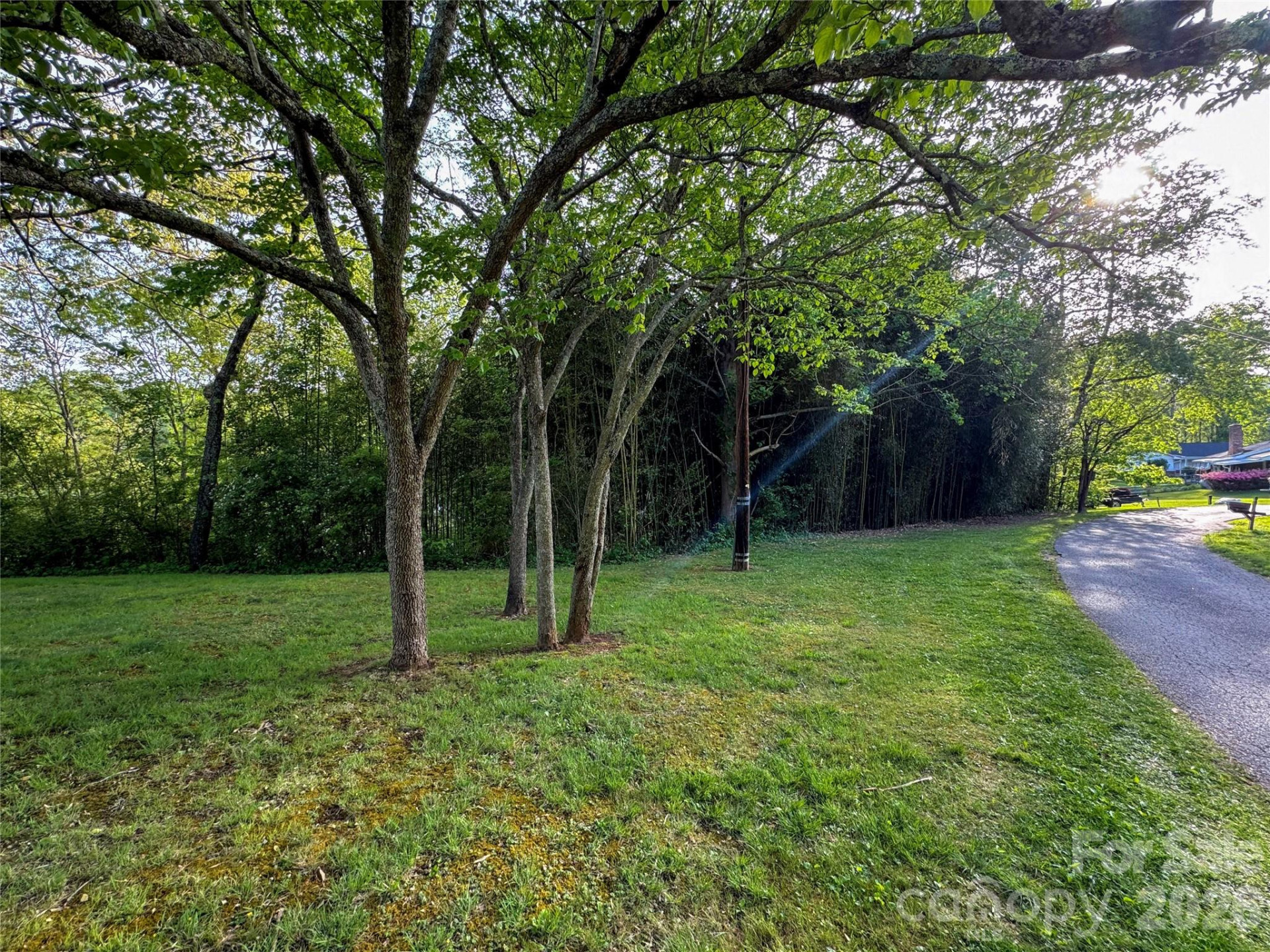 70 Winchester Drive - Photo 17
