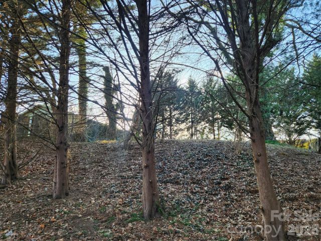 8 John Street, Asheville, NC, 28801