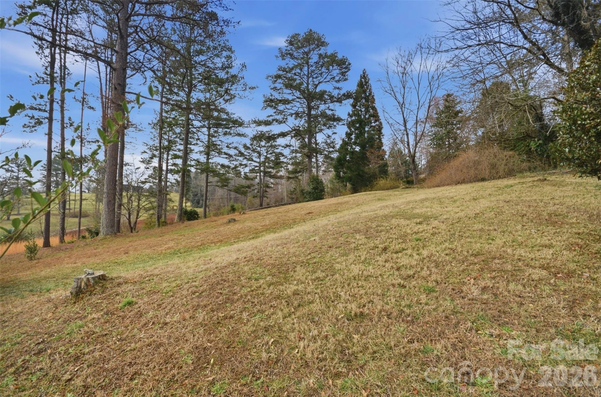 304 Honeysuckle Drive - Photo 24