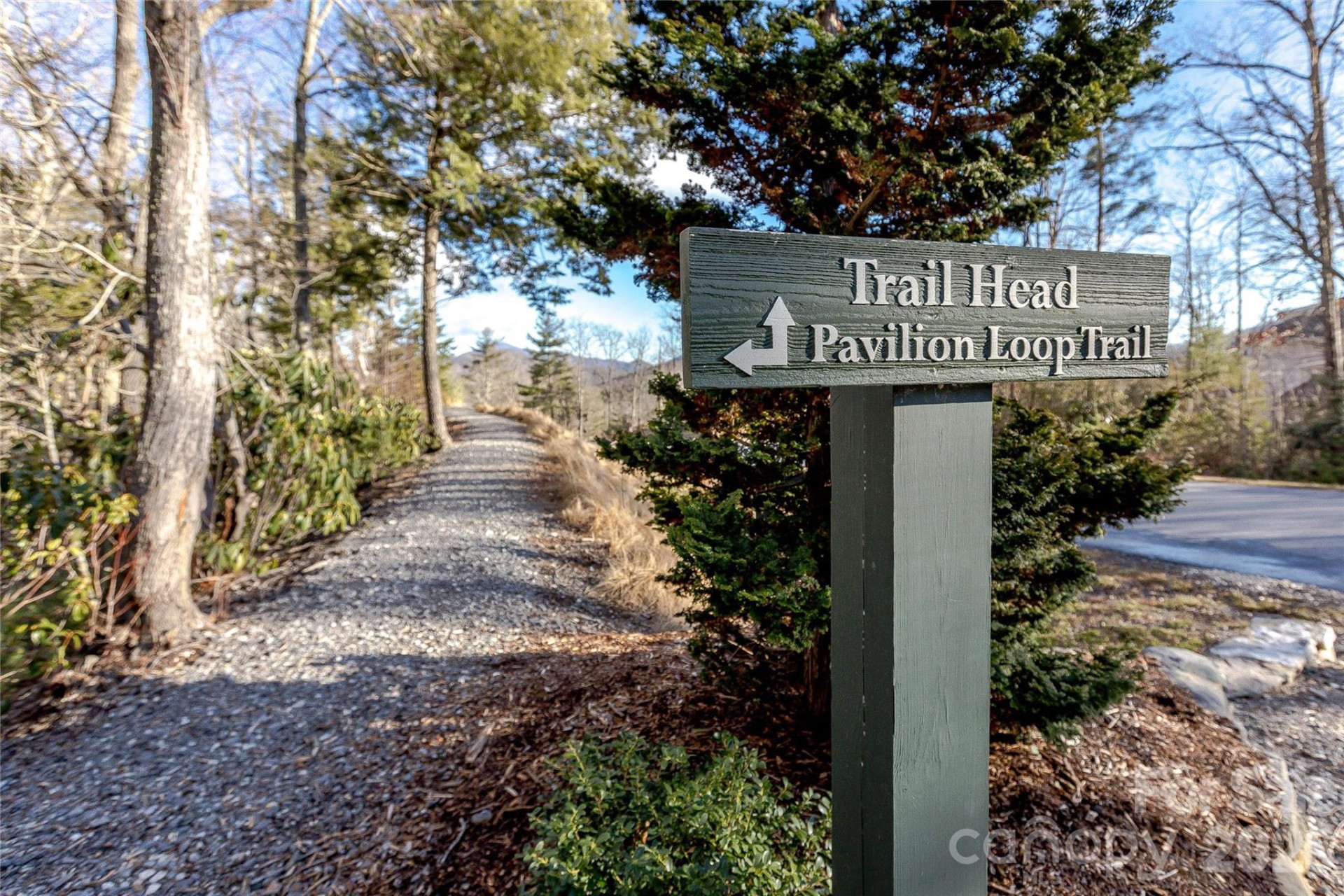 30 Stills Creek Loop - Photo 41