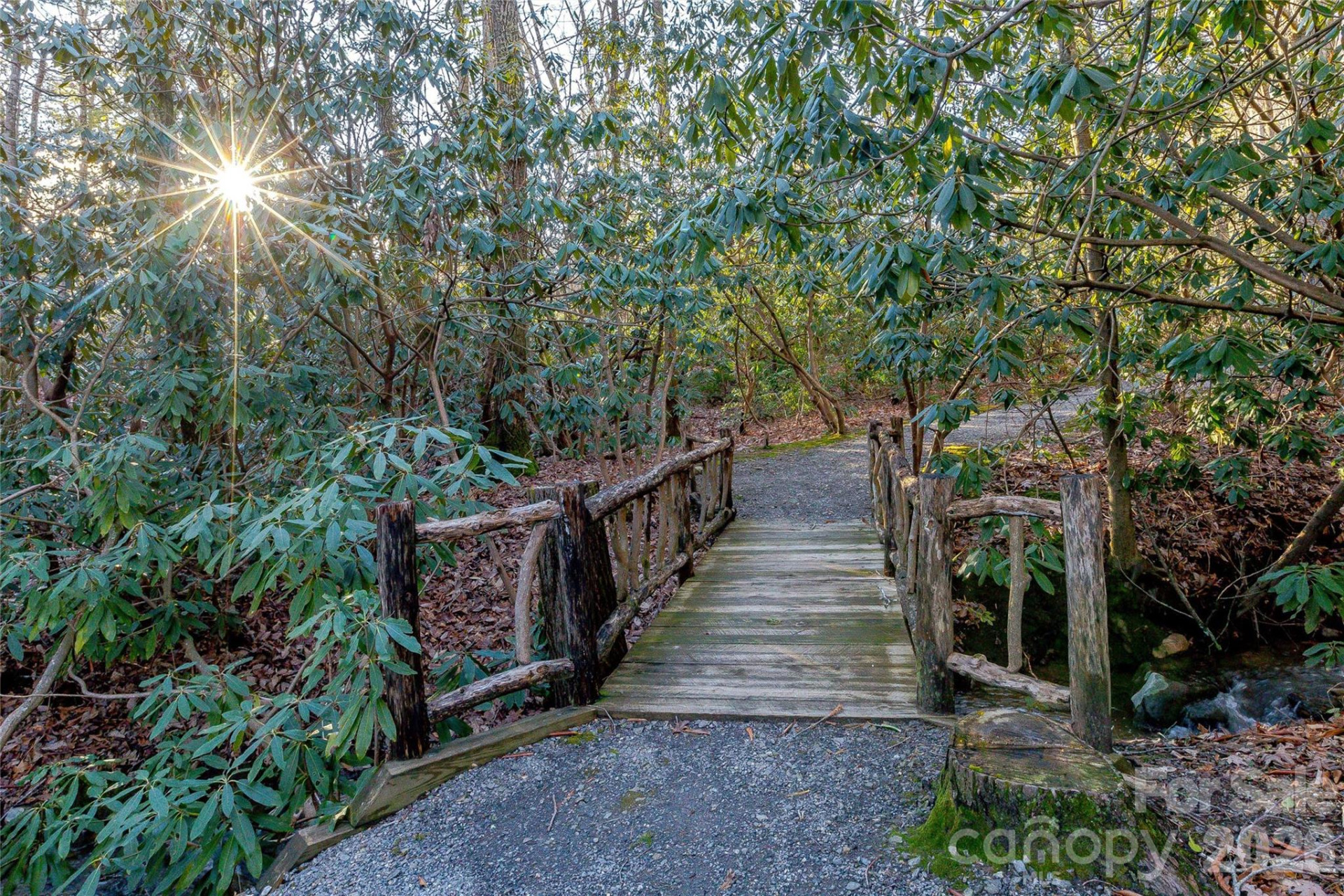 30 Stills Creek Loop - Photo 46