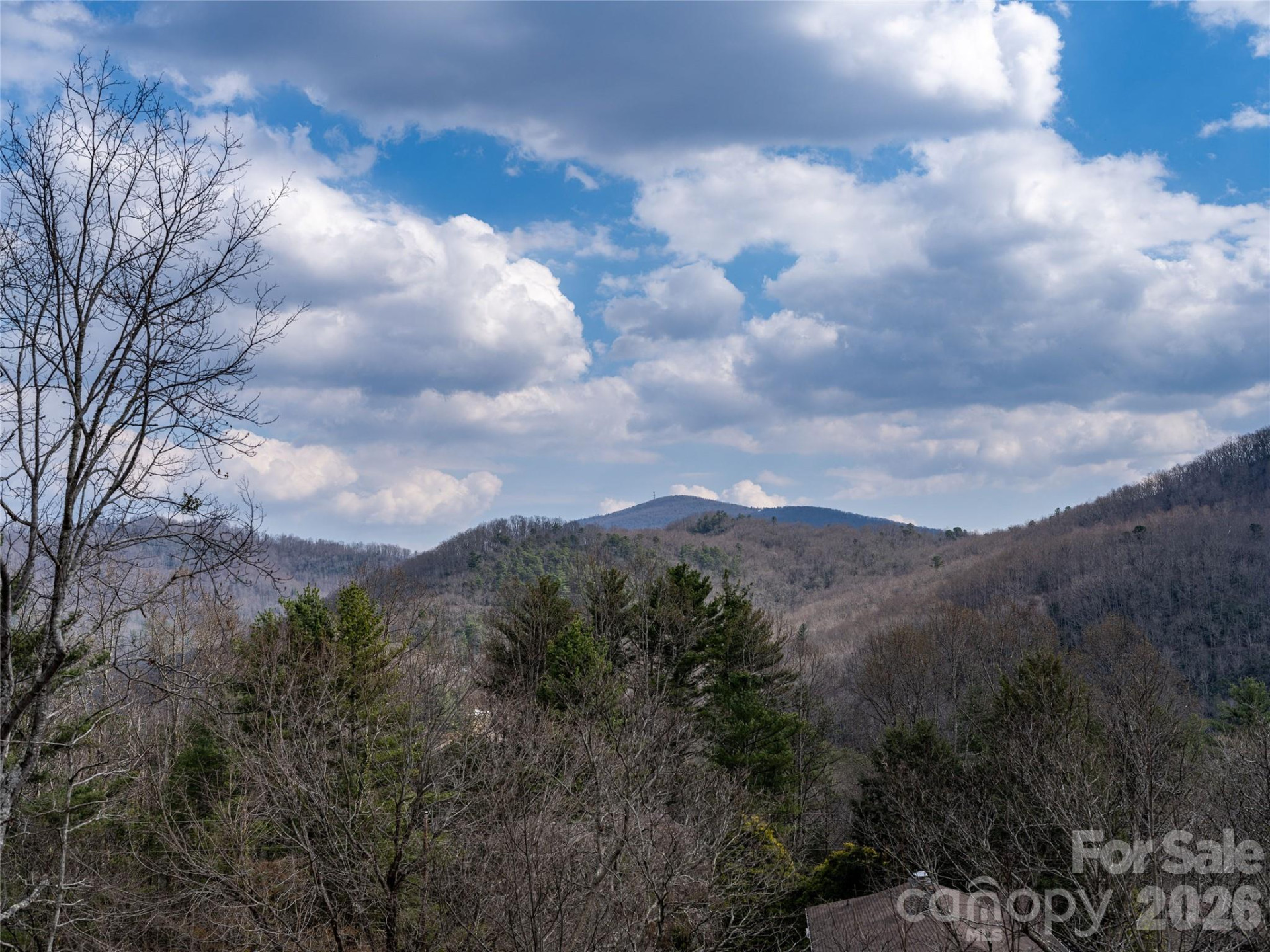 54 Weldon Way - Photo 43