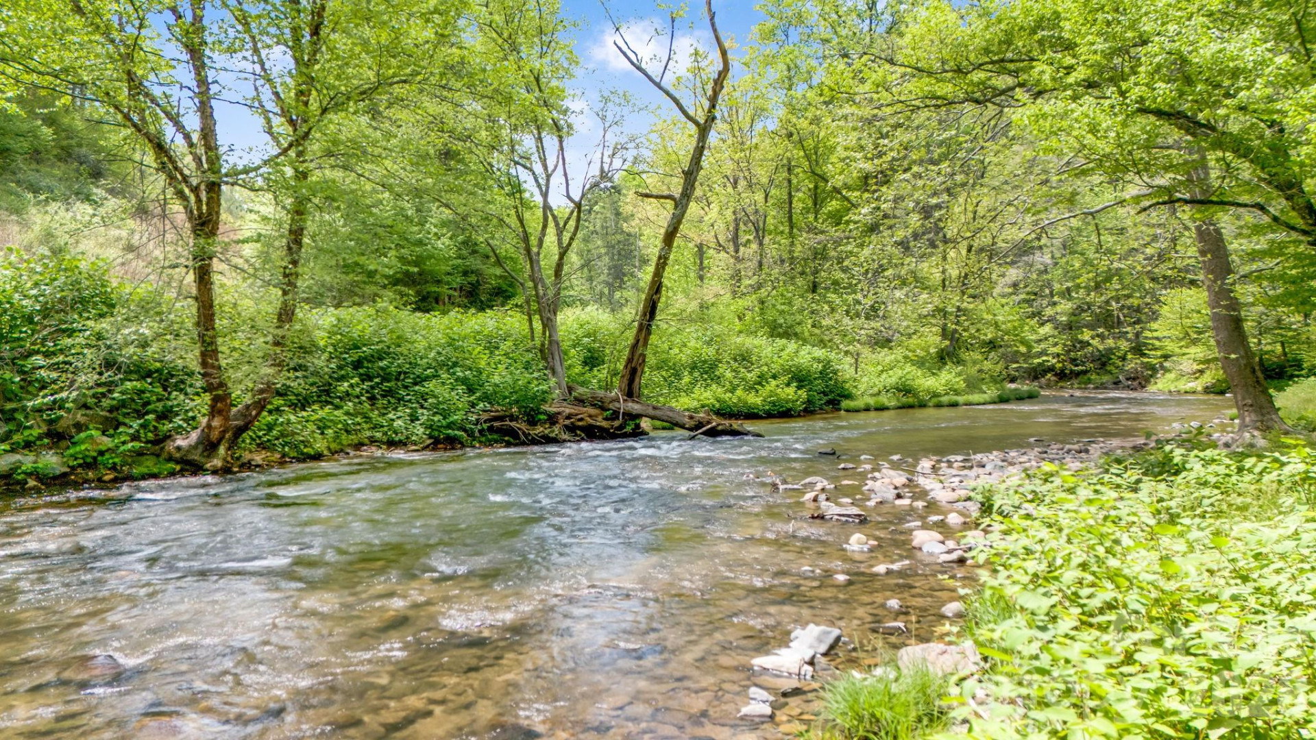 16 Caddis Court - Photo 40