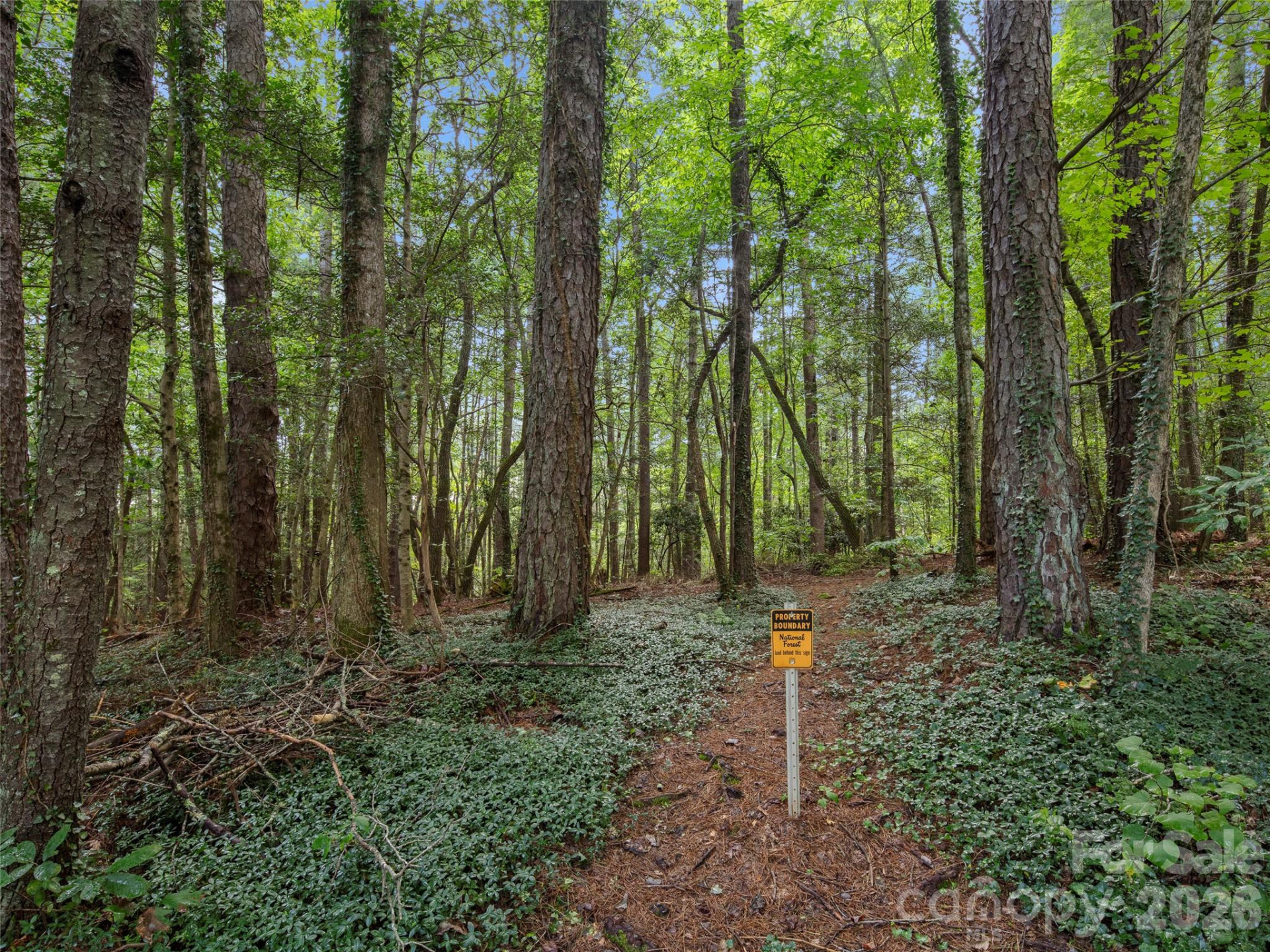 36 Auburndale Drive - Photo 5