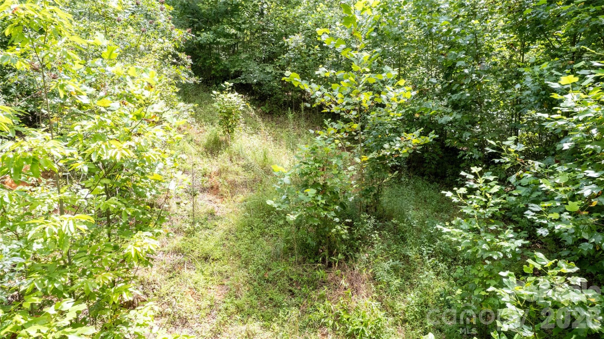 TBD Collettsville Road #12 - Photo 14