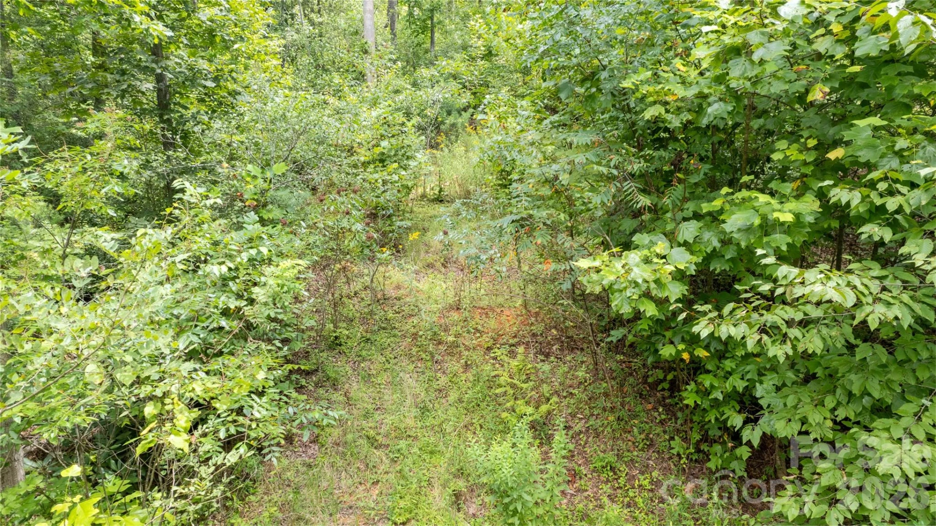 TBD Collettsville Road #12 - Photo 5