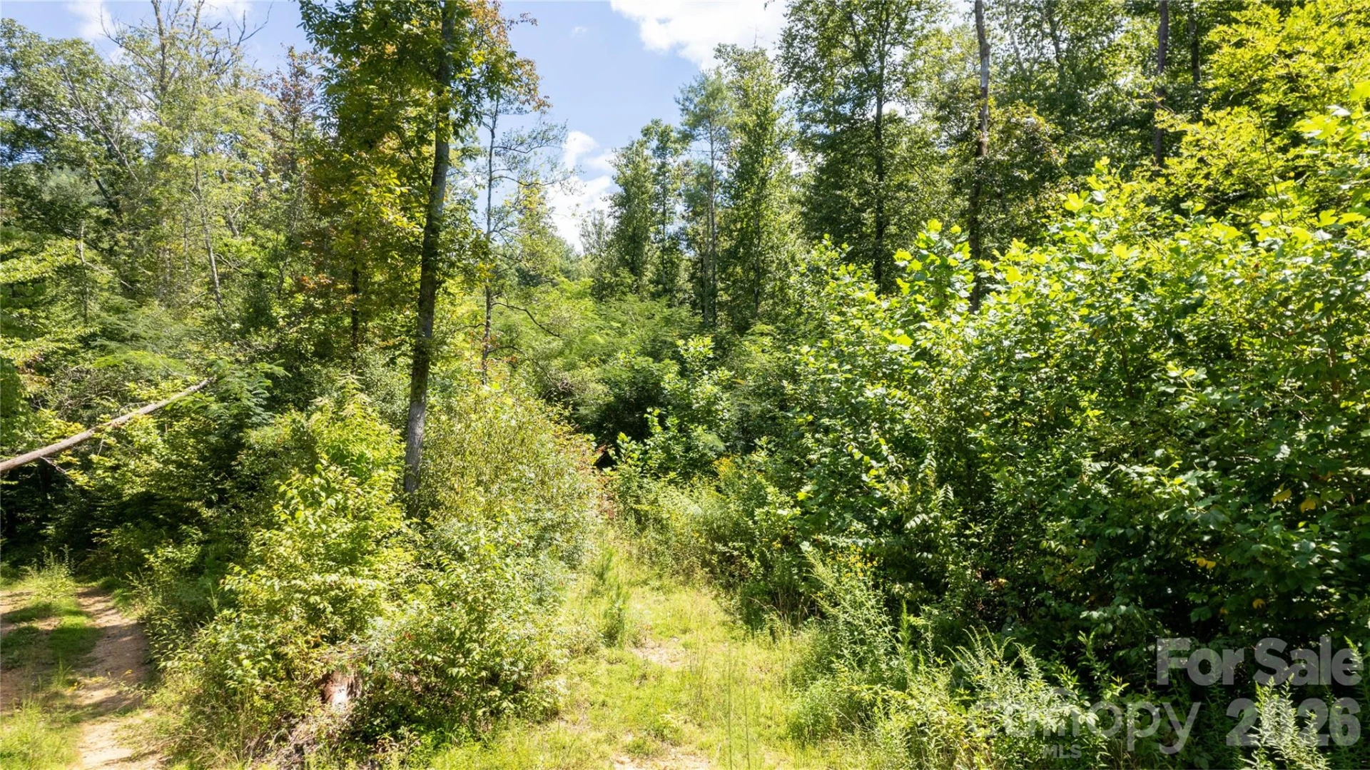 TBD Collettsville Road #12 - Photo 6