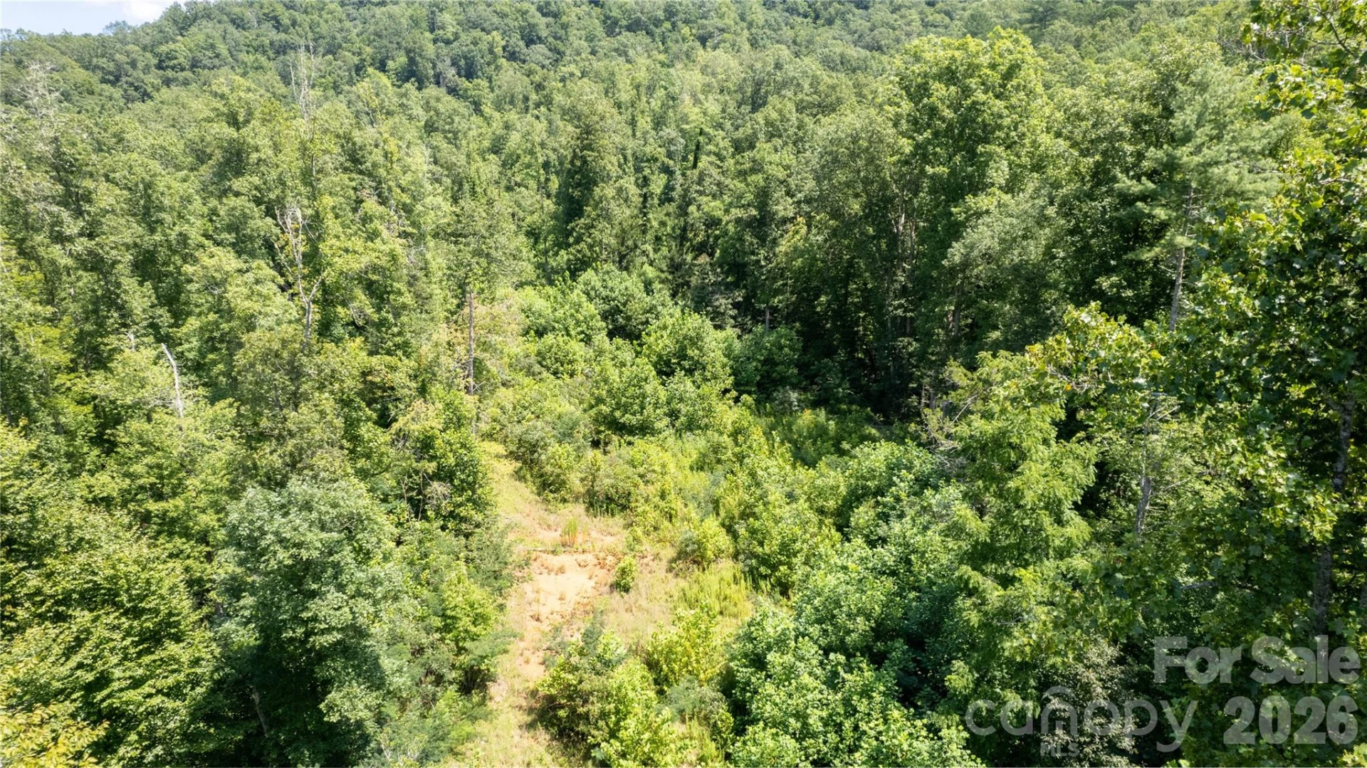 TBD Collettsville Road #12 - Photo 7