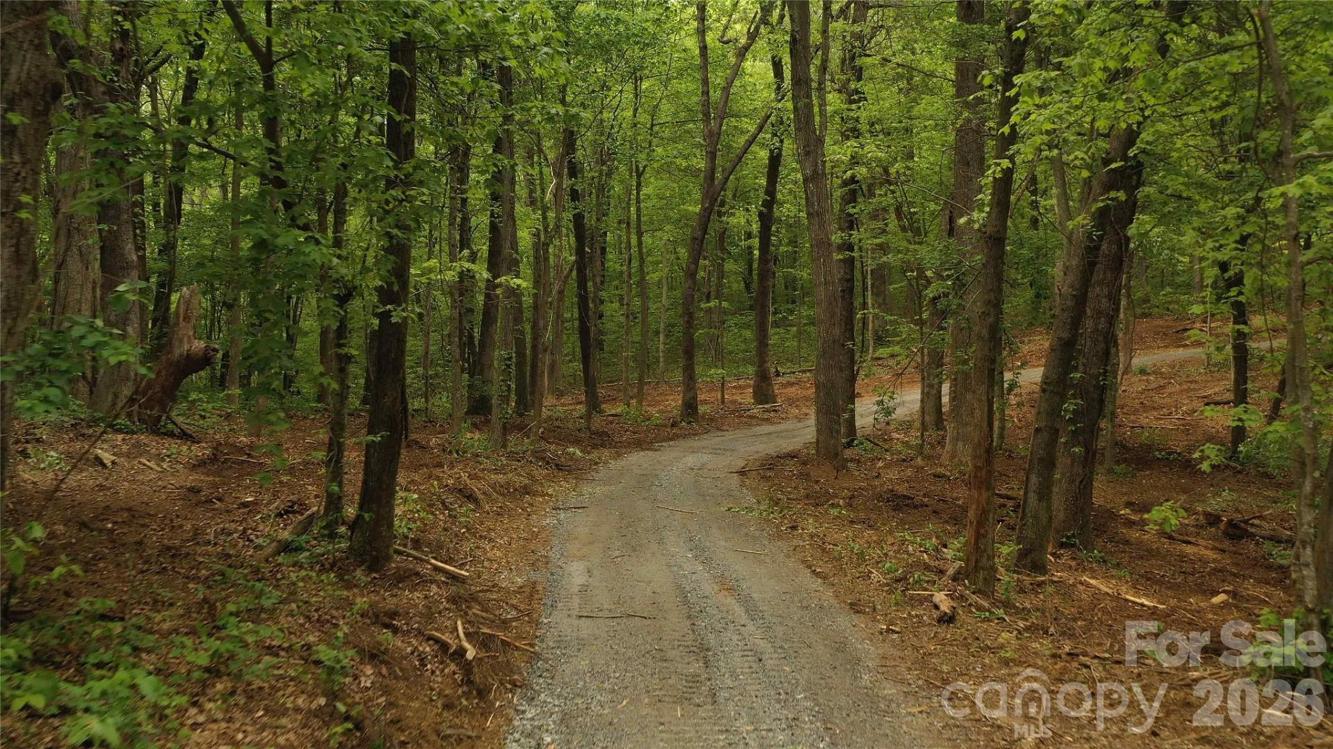 68, 77,  92 Misty Dawn Cove - Photo 2