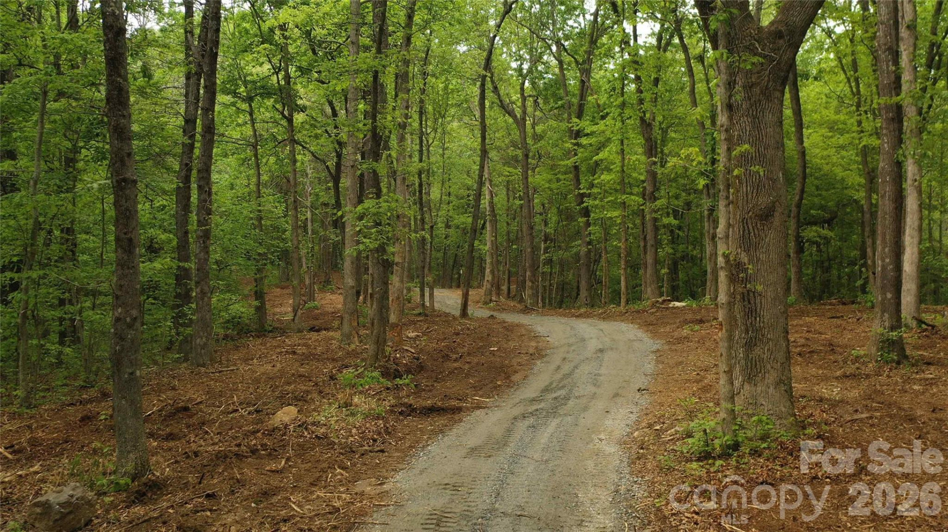 68, 77,  92 Misty Dawn Cove - Photo 3