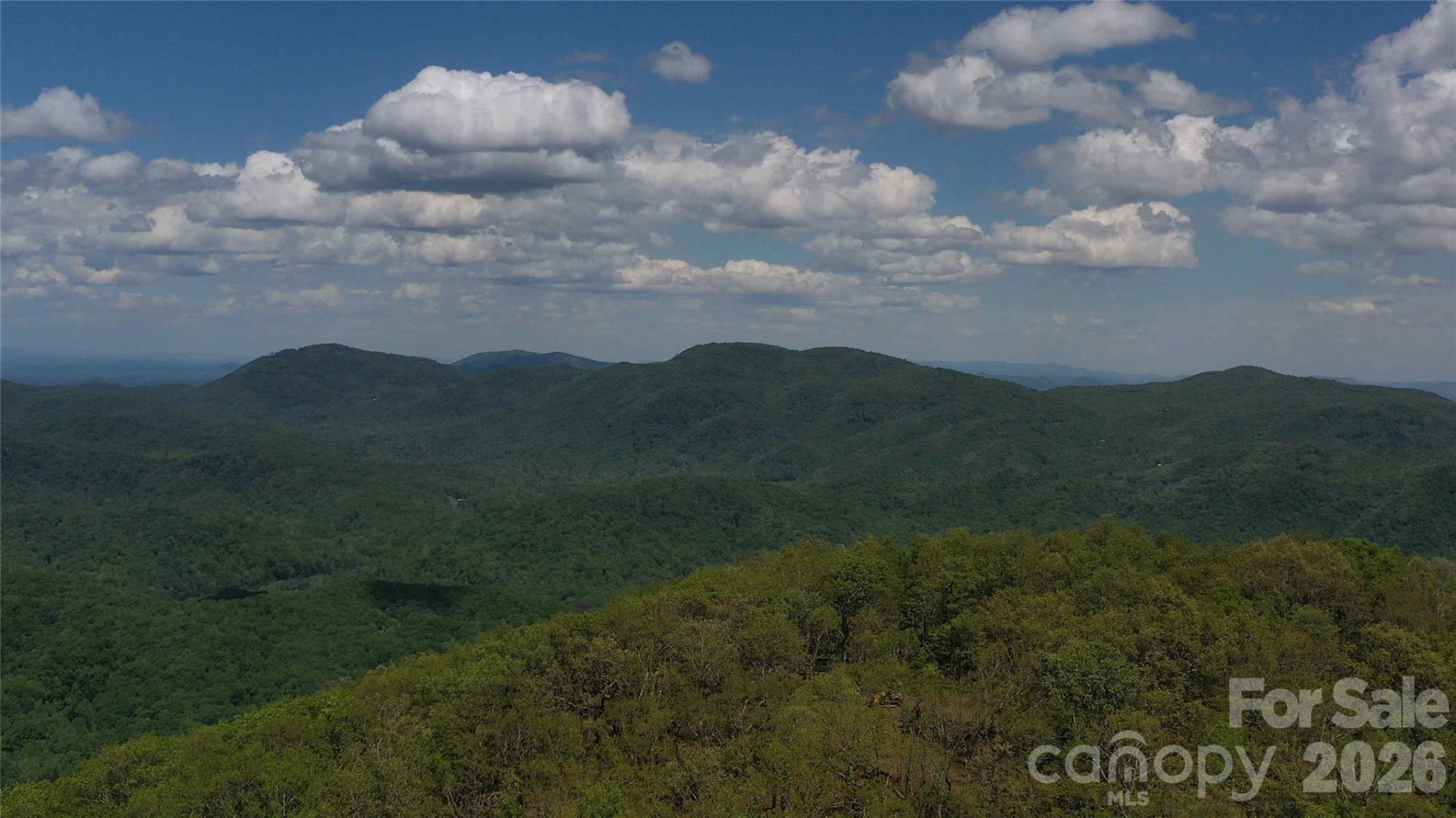 68, 77,  92 Misty Dawn Cove - Photo 4