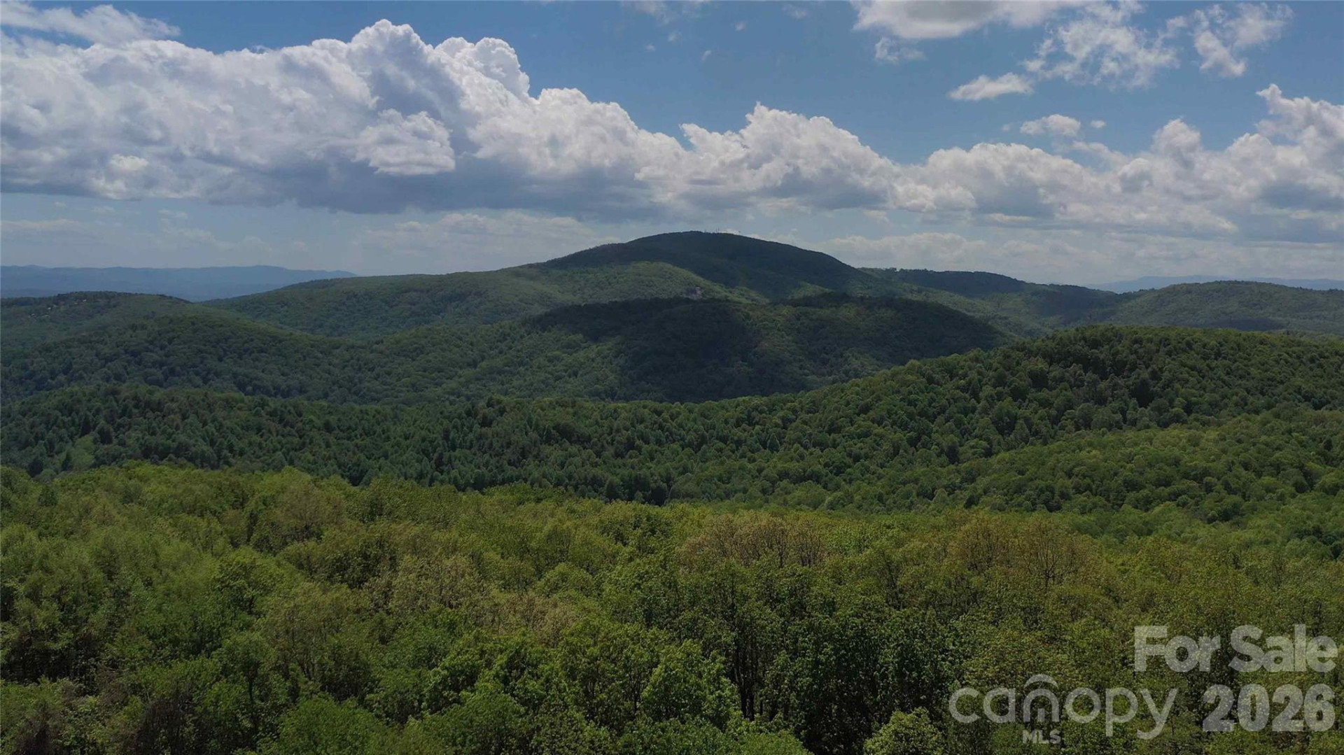 68, 77,  92 Misty Dawn Cove - Photo 6