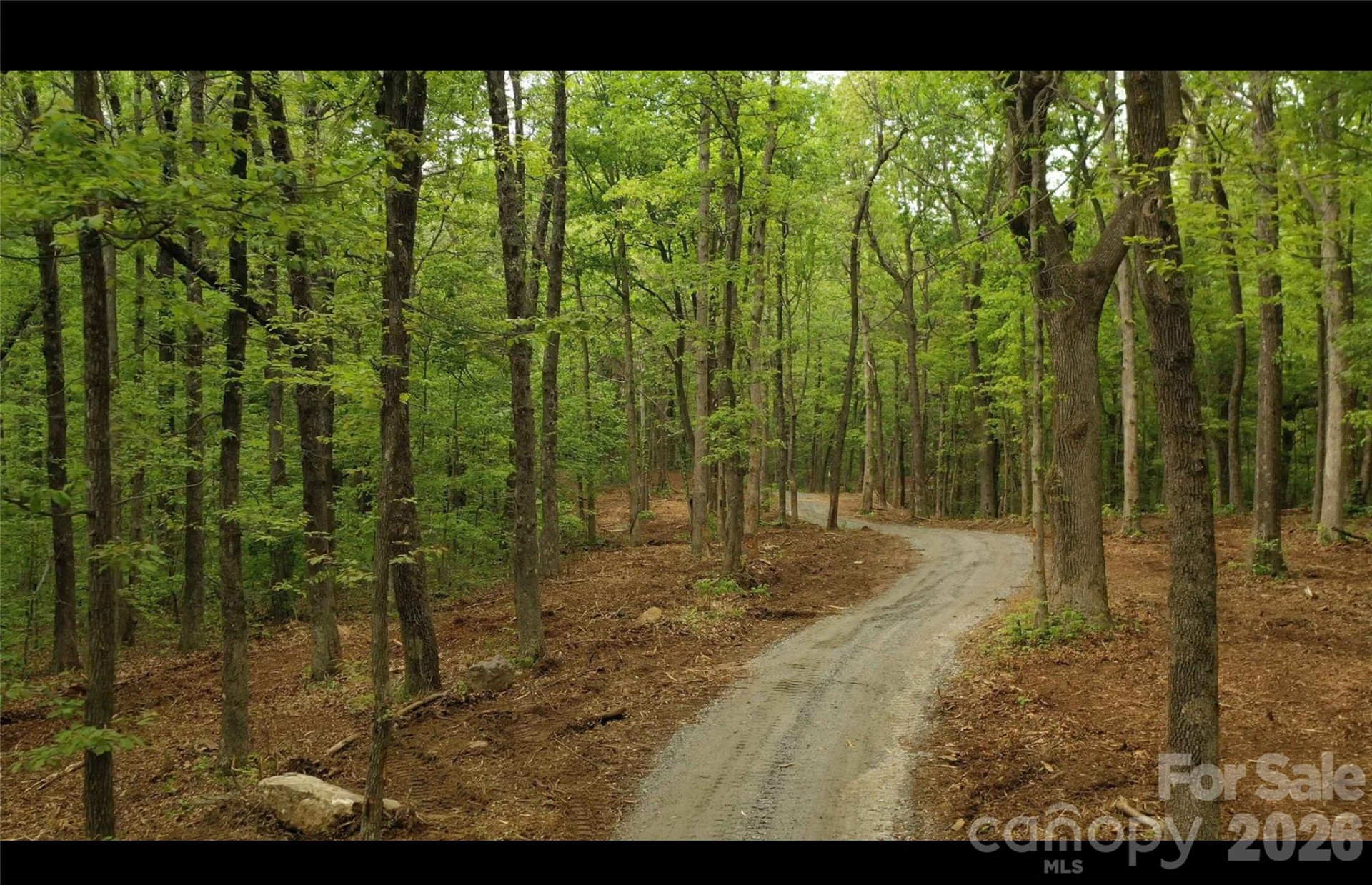 68, 77,  92 Misty Dawn Cove - Photo 8