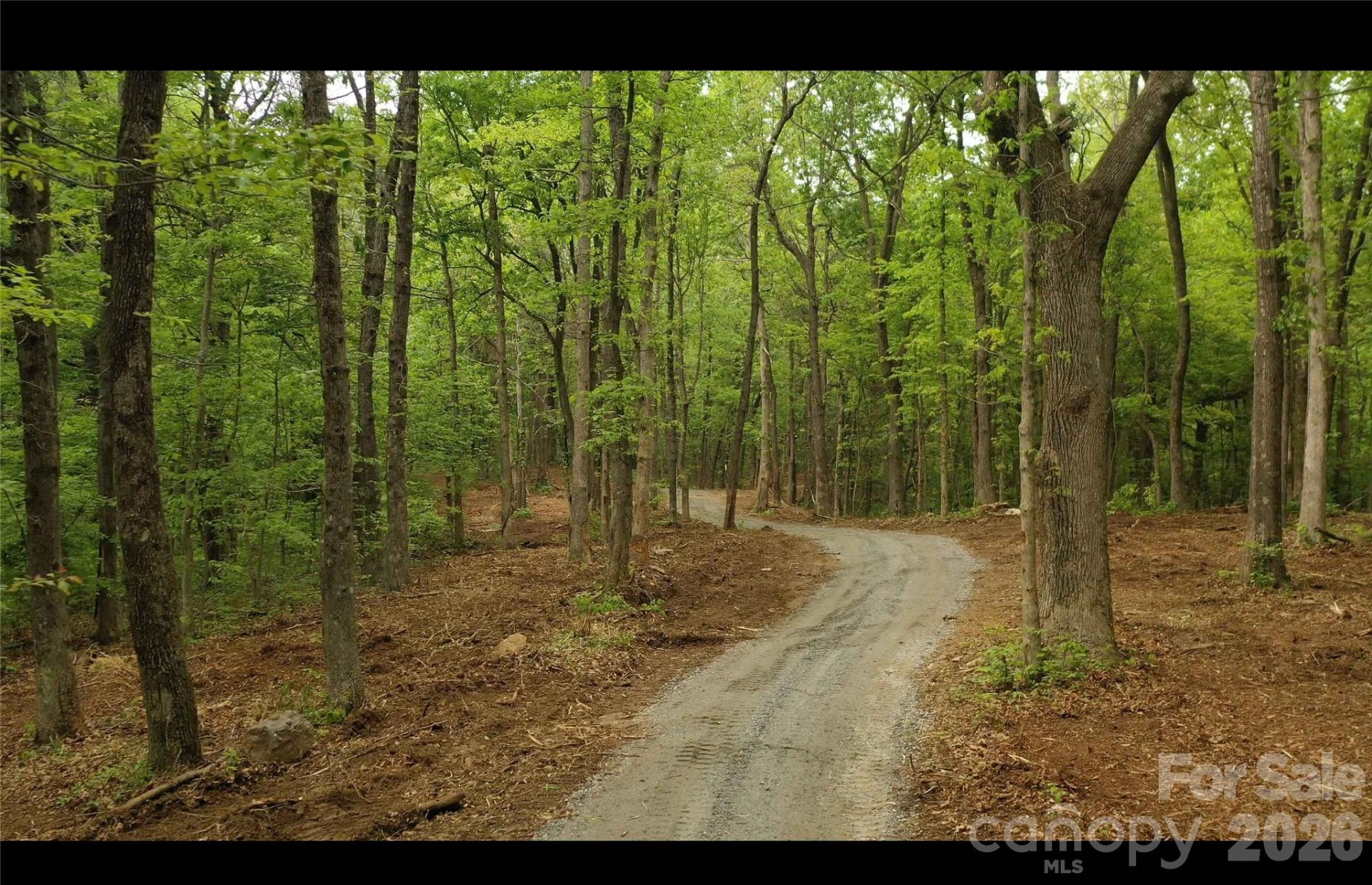 68, 77,  92 Misty Dawn Cove - Photo 9