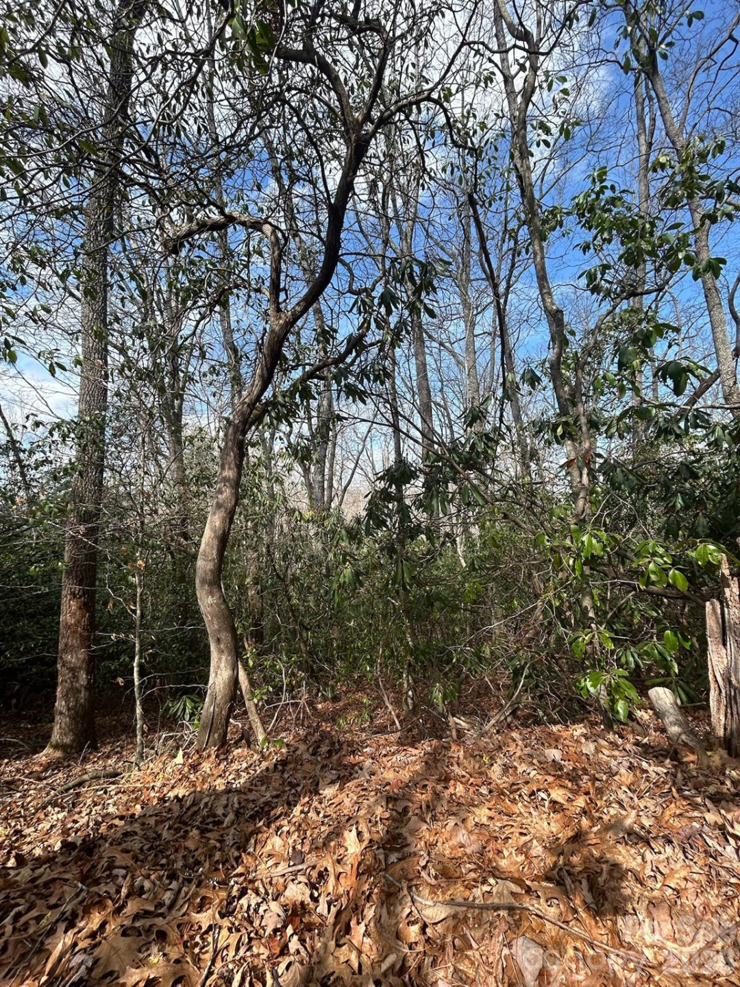 Lot 37 High Peak Road - Photo 3