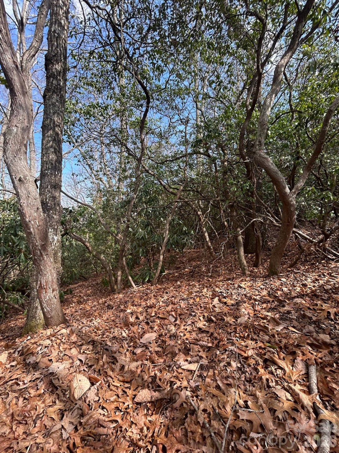 Lot 37 High Peak Road - Photo 4